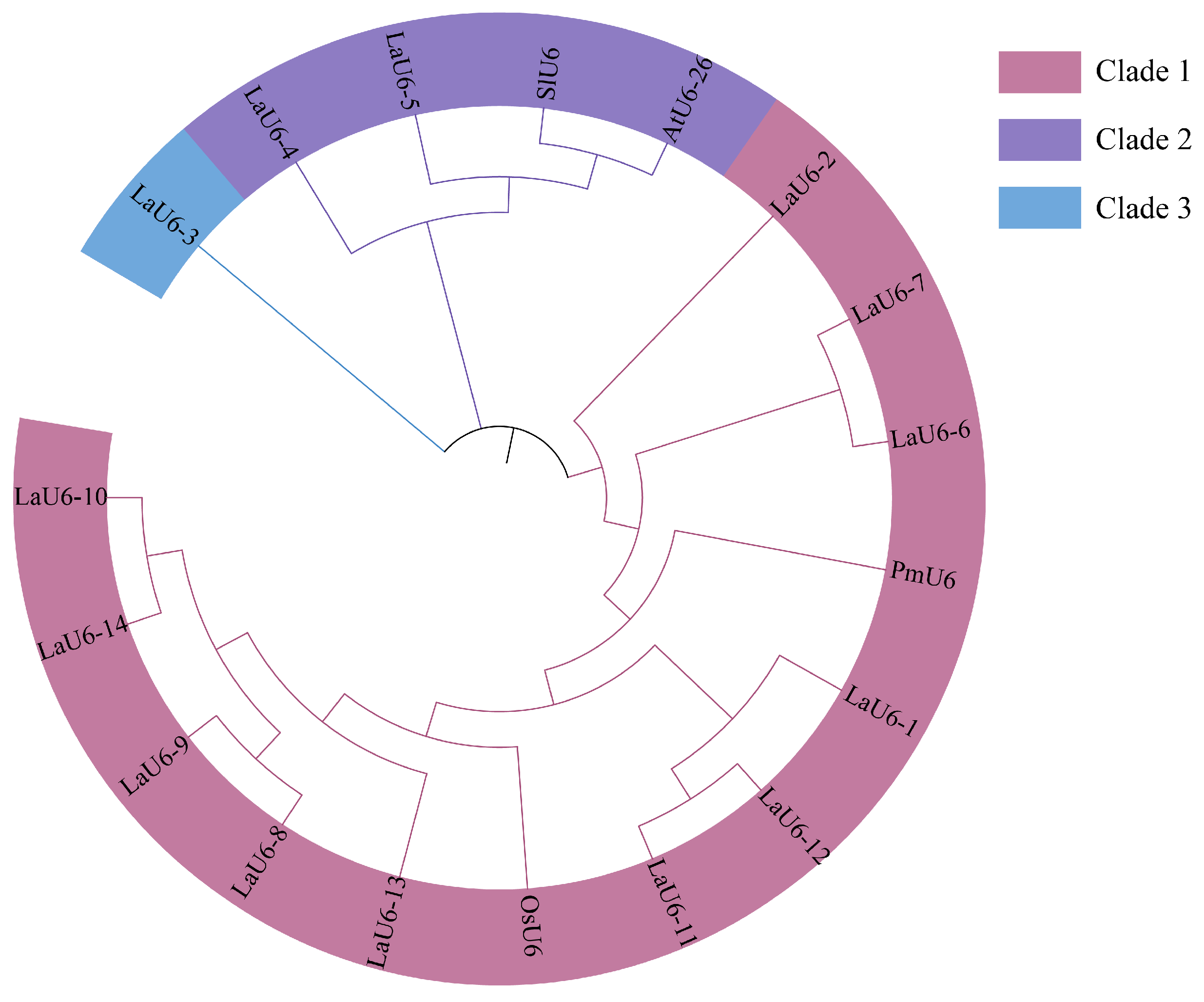 Plants 14 00045 g001