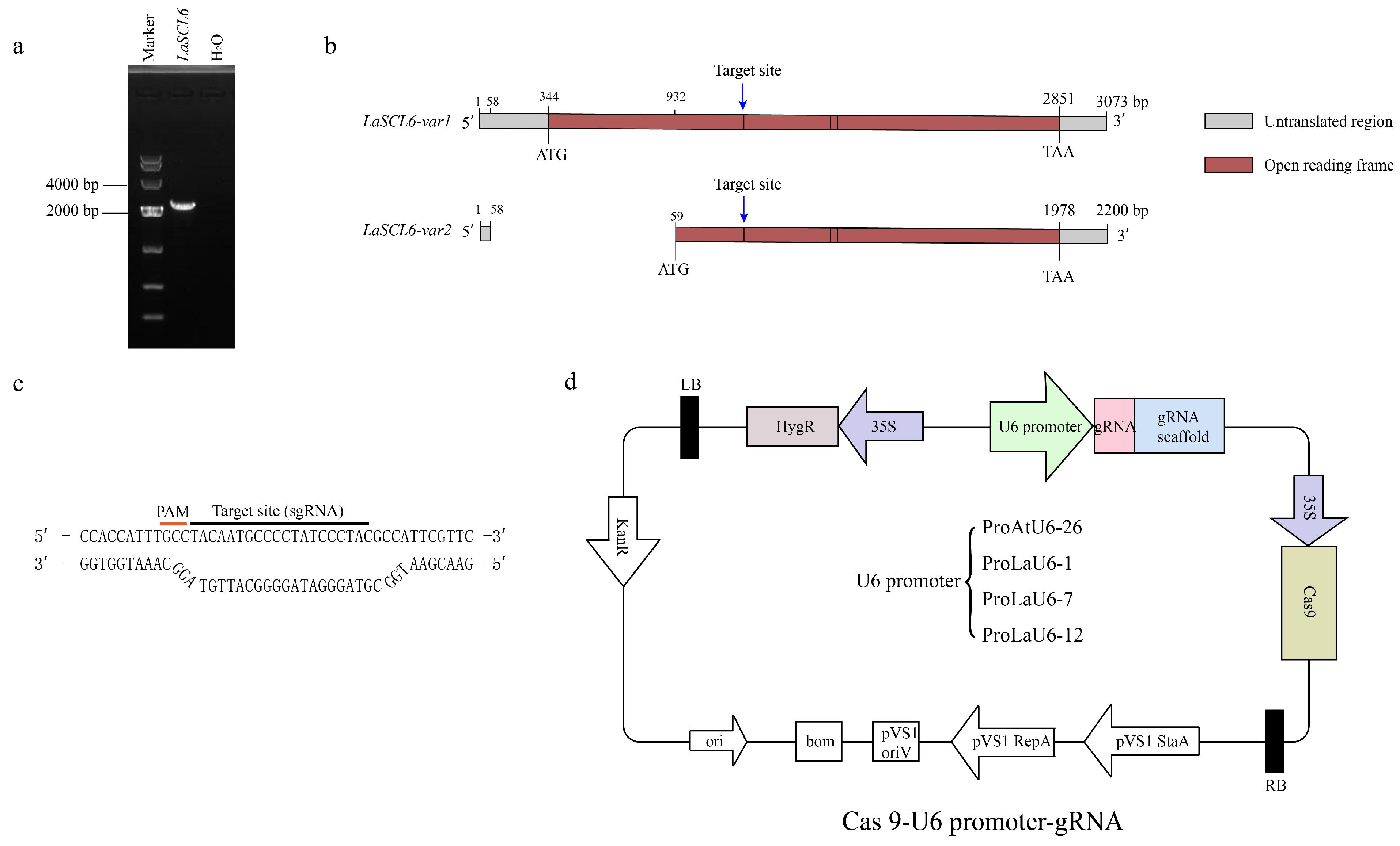 Plants 14 00045 g003