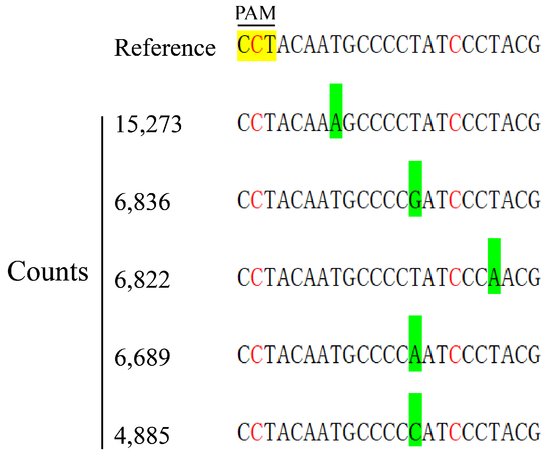 Plants 14 00045 g006