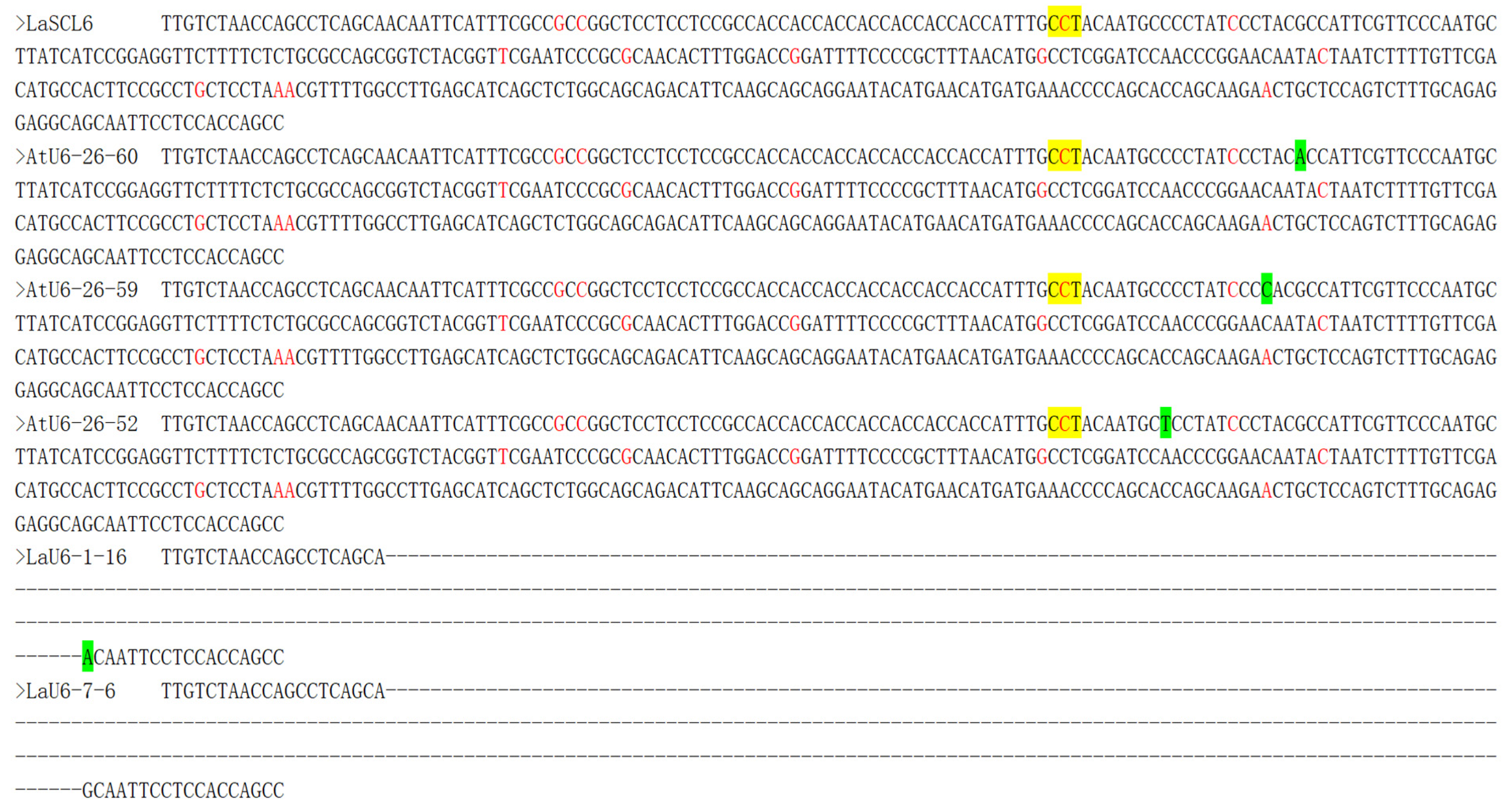 Plants 14 00045 g007
