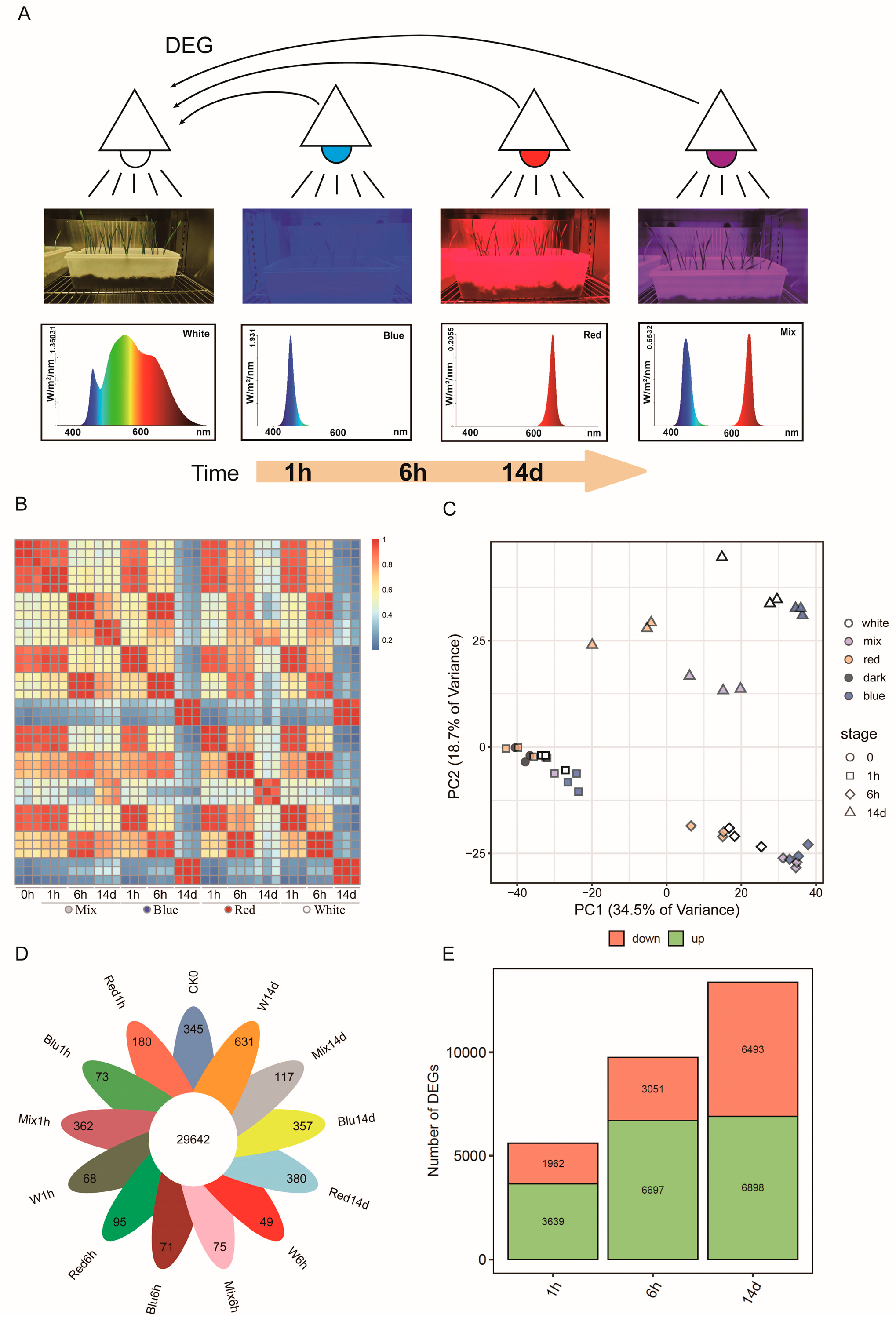Plants 14 00046 g002