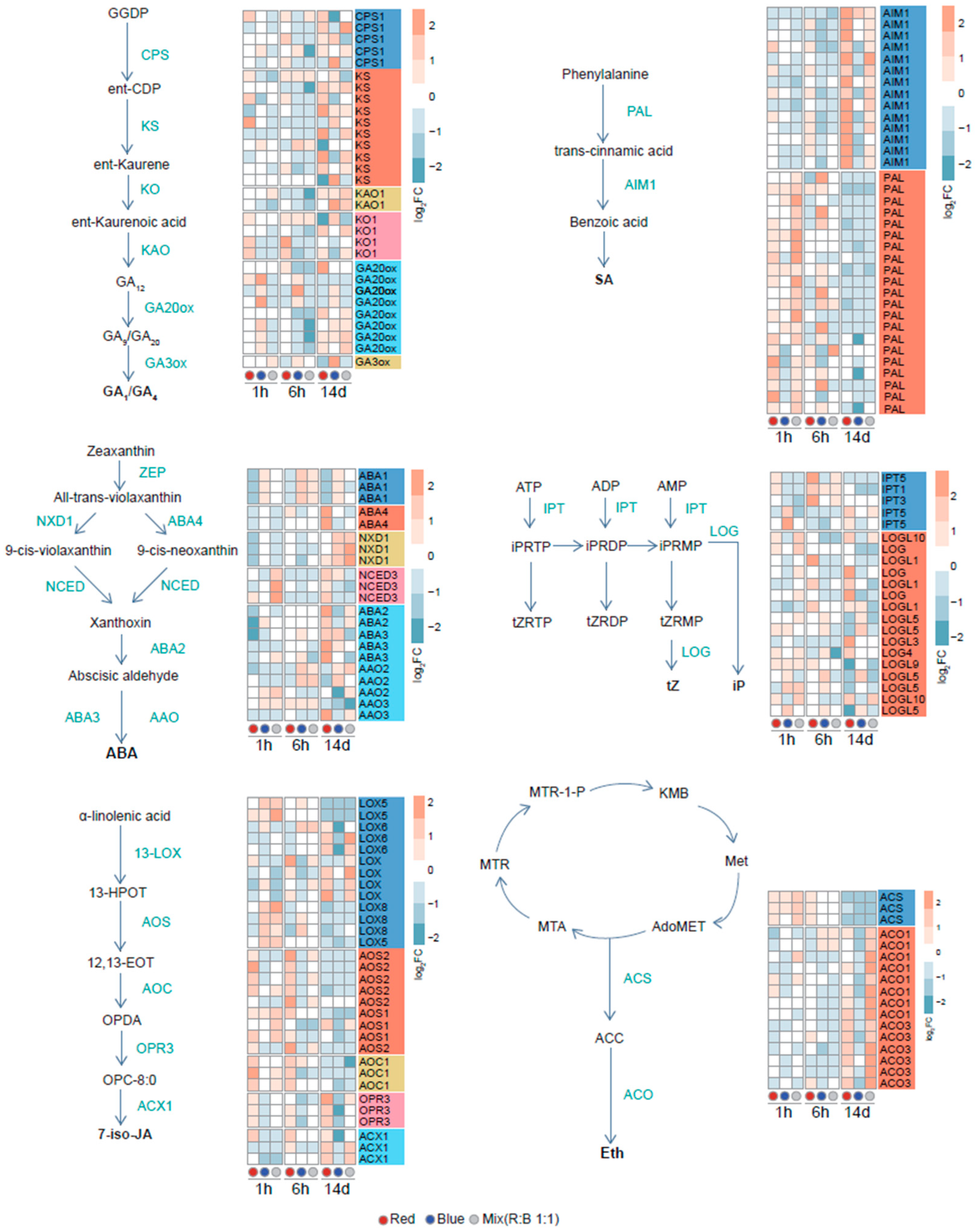 Plants 14 00046 g004