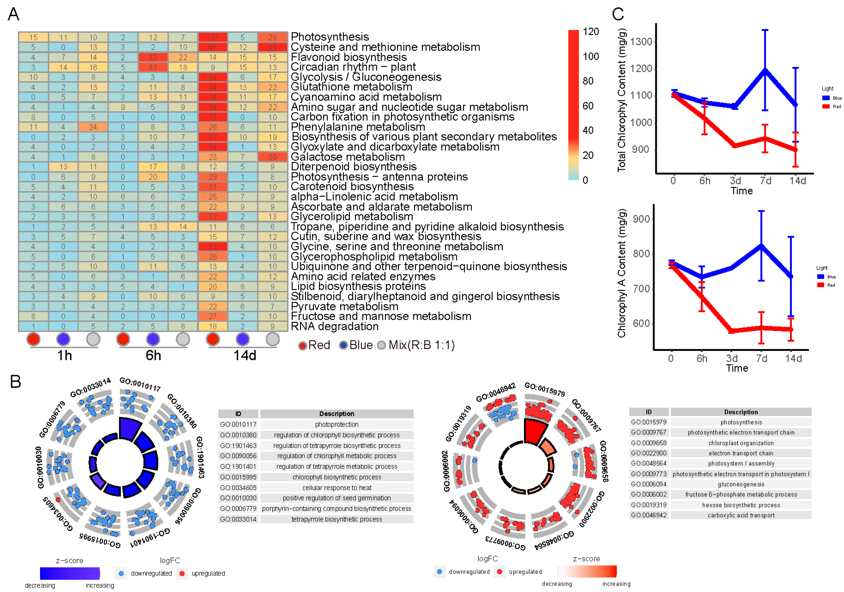 Plants 14 00046 g005