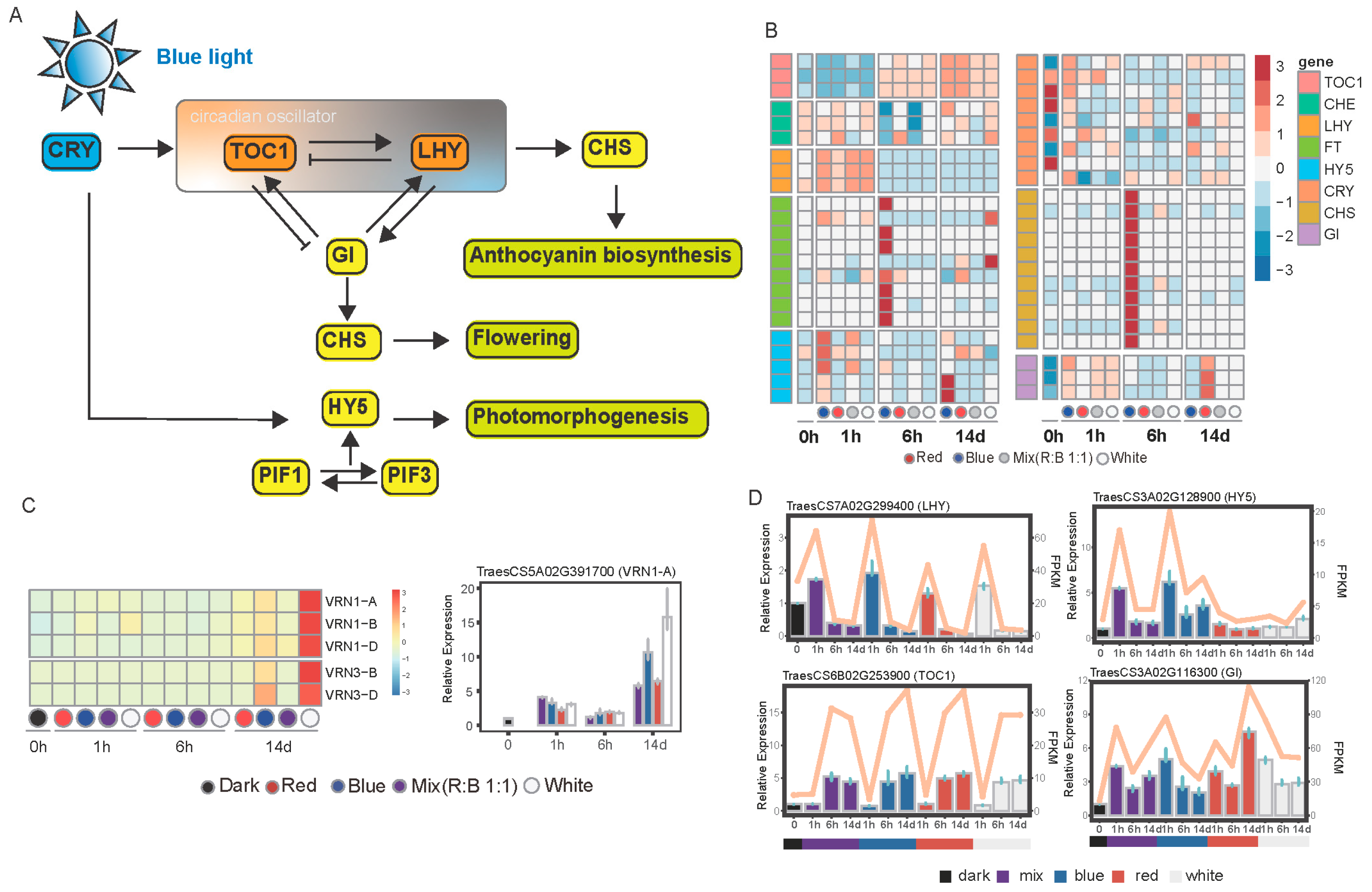 Plants 14 00046 g006