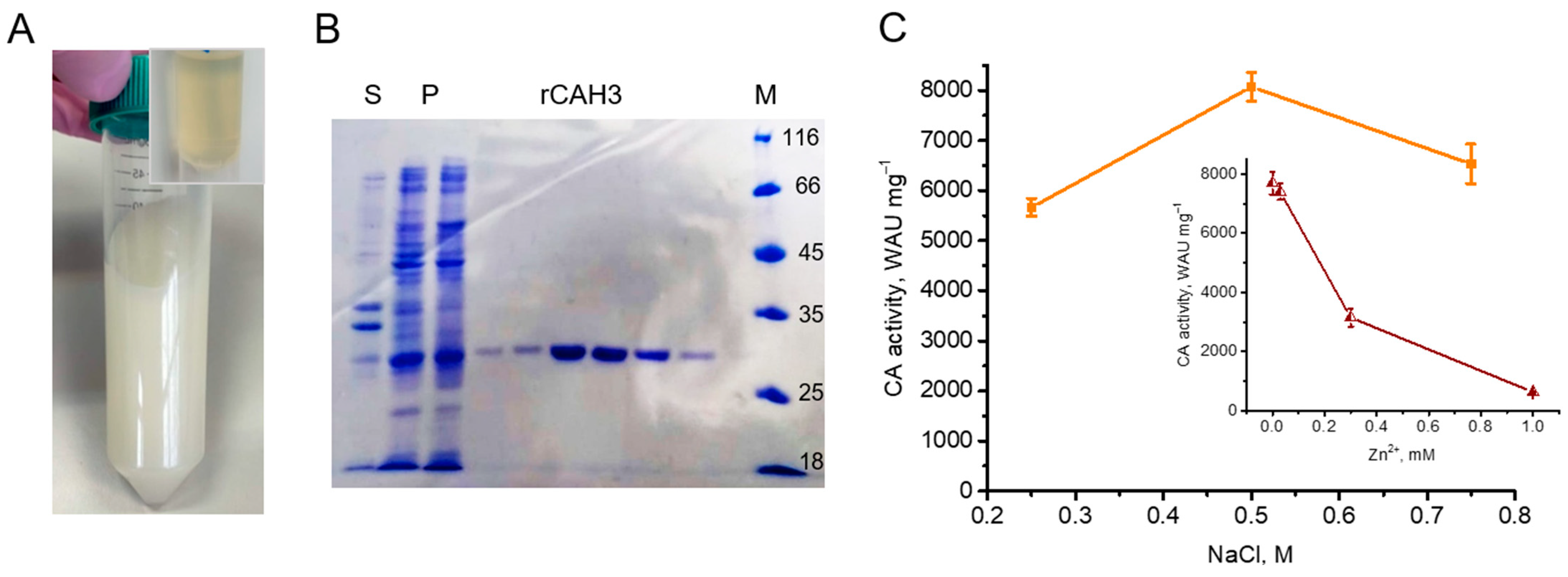 Plants 14 00055 g001