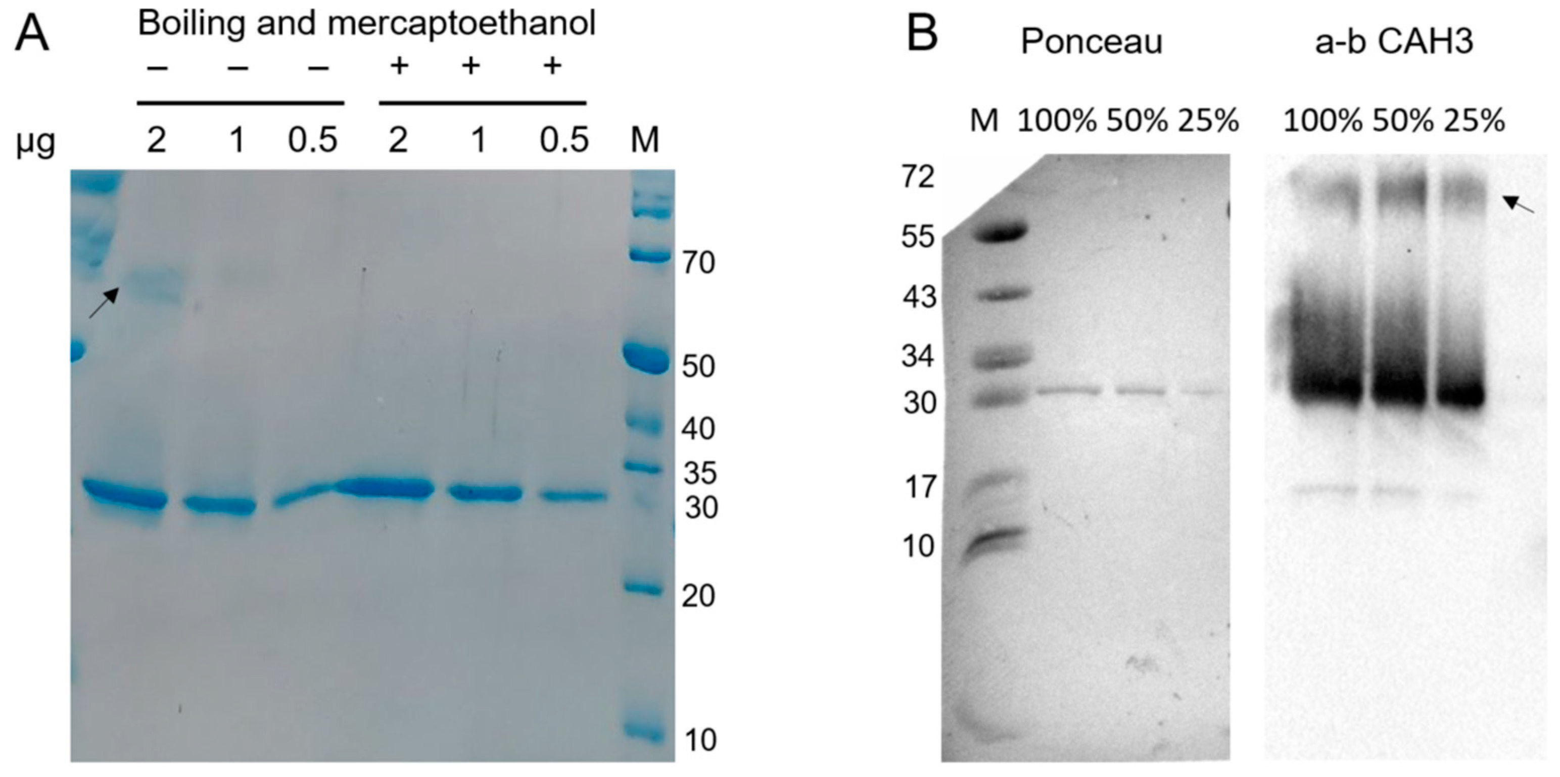 Plants 14 00055 g002