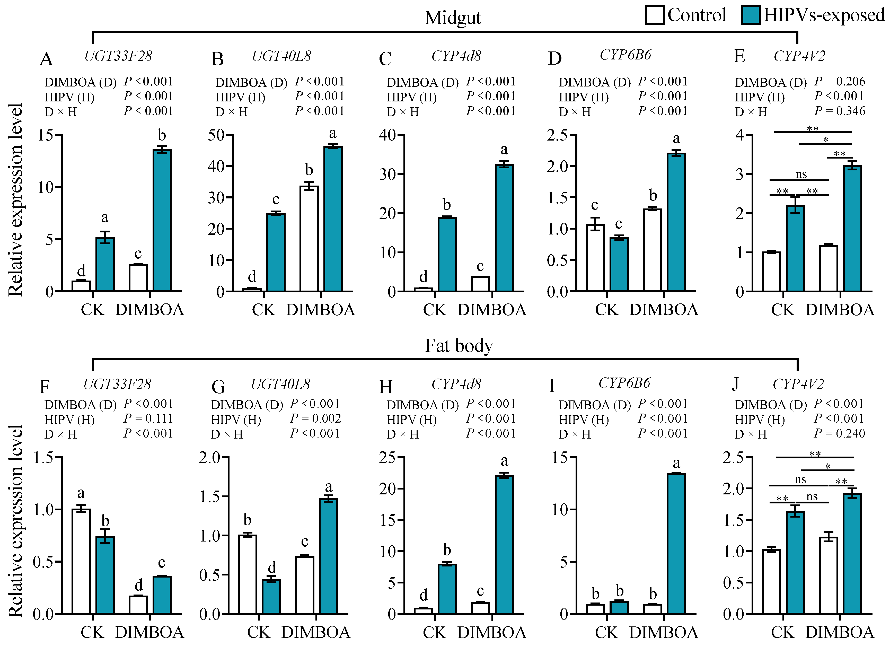 Plants 14 00057 g005
