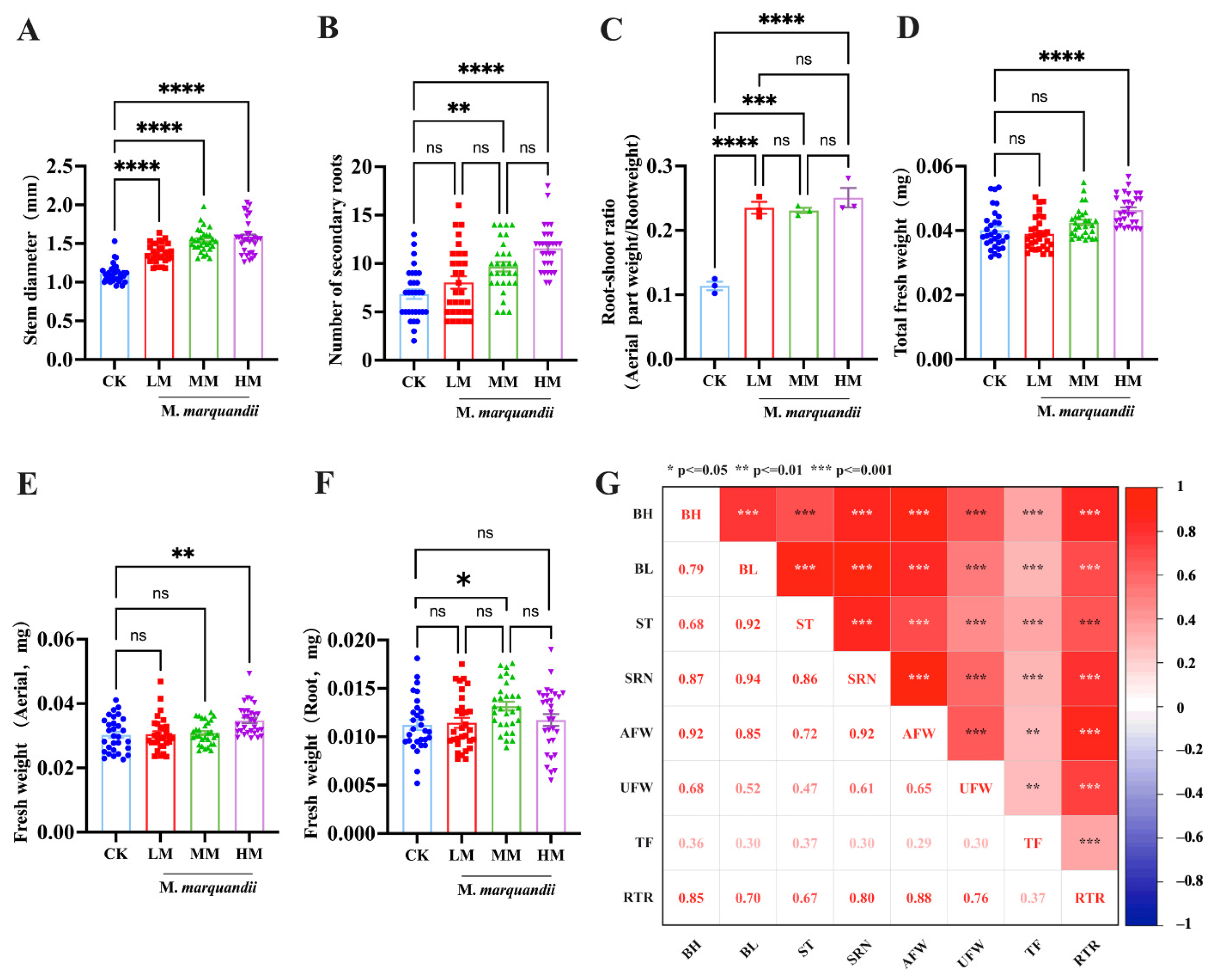 Plants 14 00058 g002