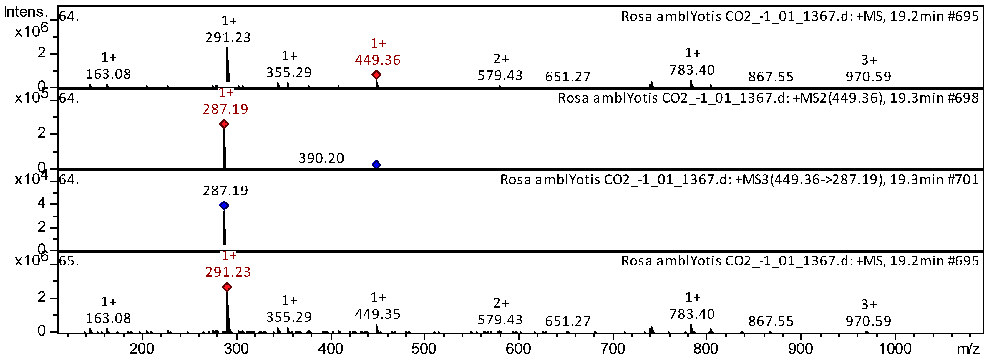 Plants 14 00059 g005
