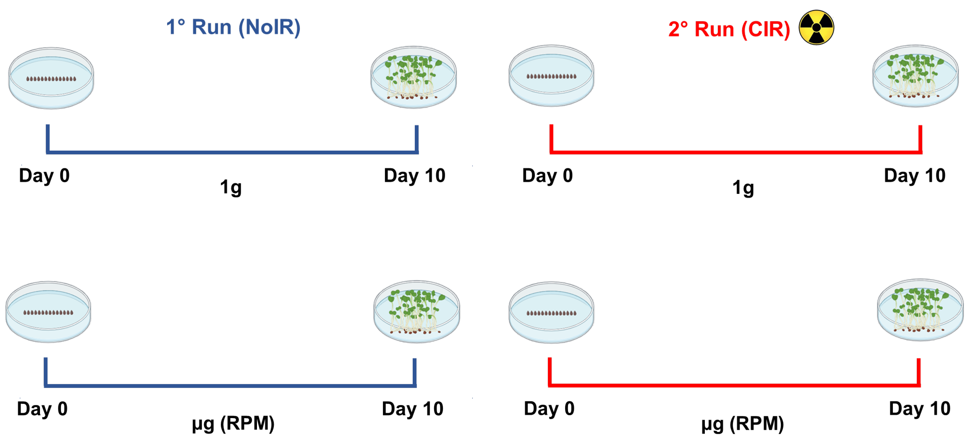 Plants 14 00064 g004