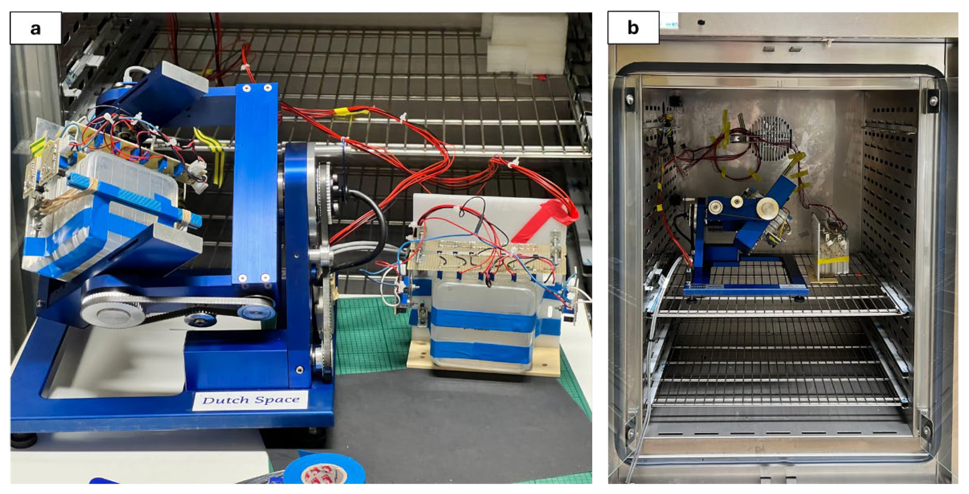 Plants 14 00064 g005
