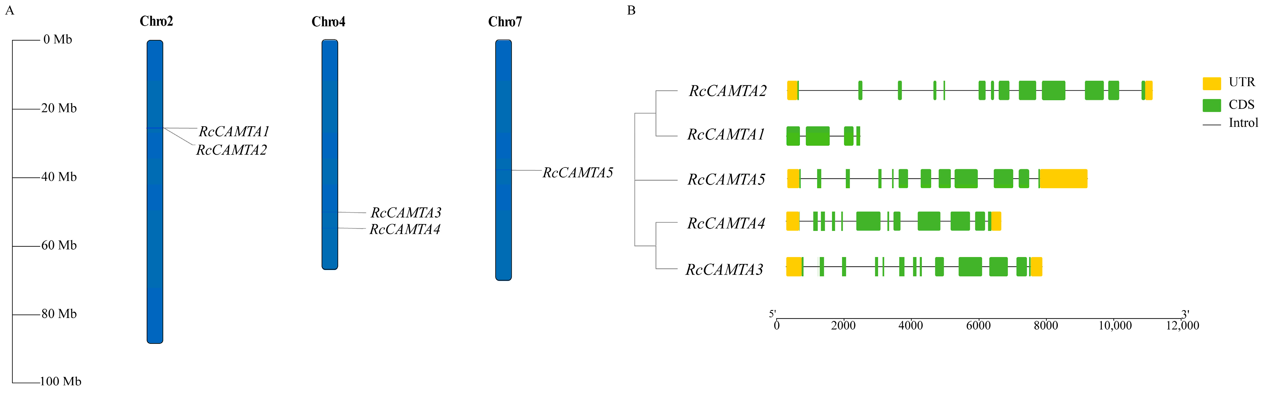 Plants 14 00070 g001