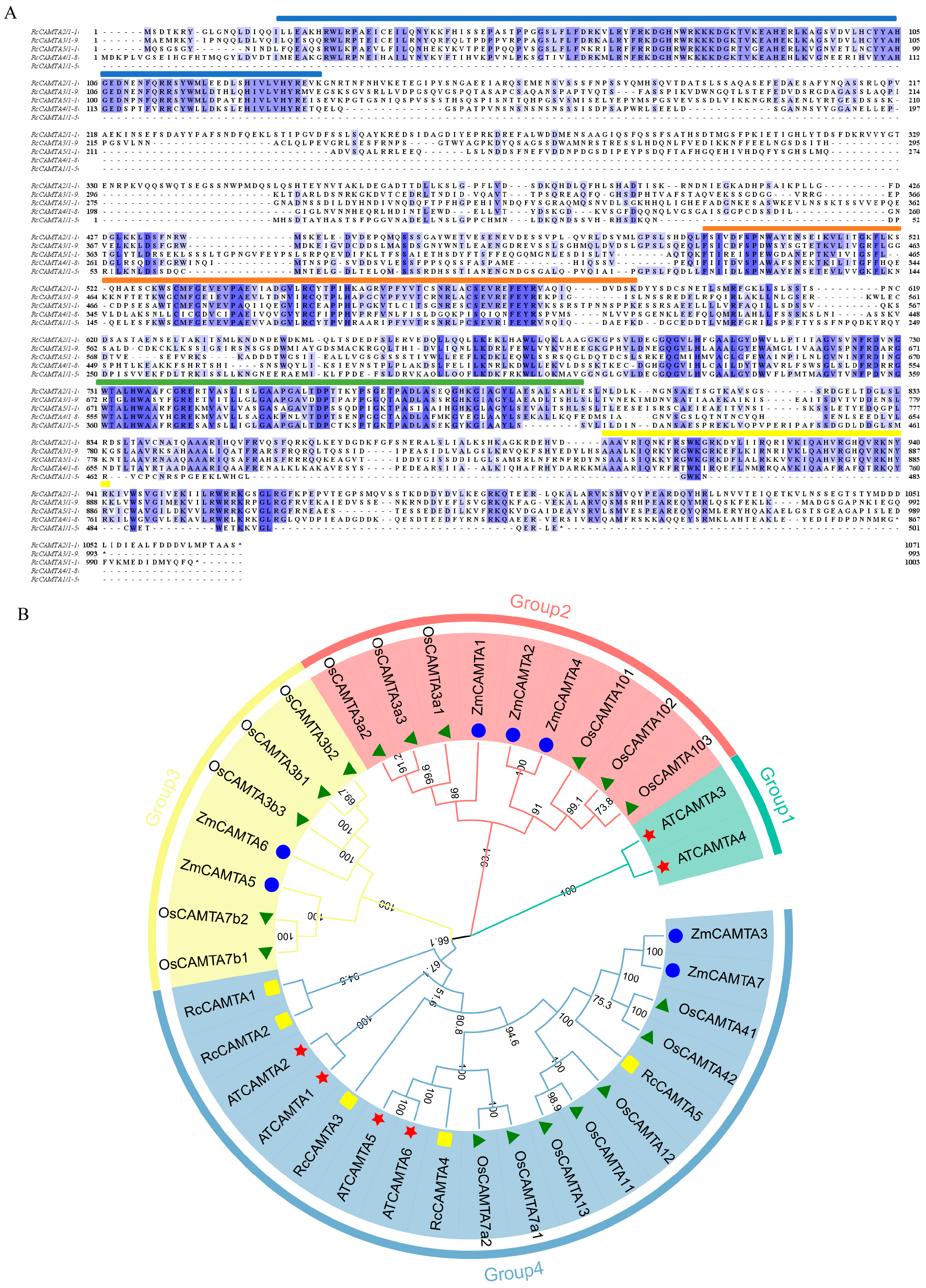 Plants 14 00070 g003