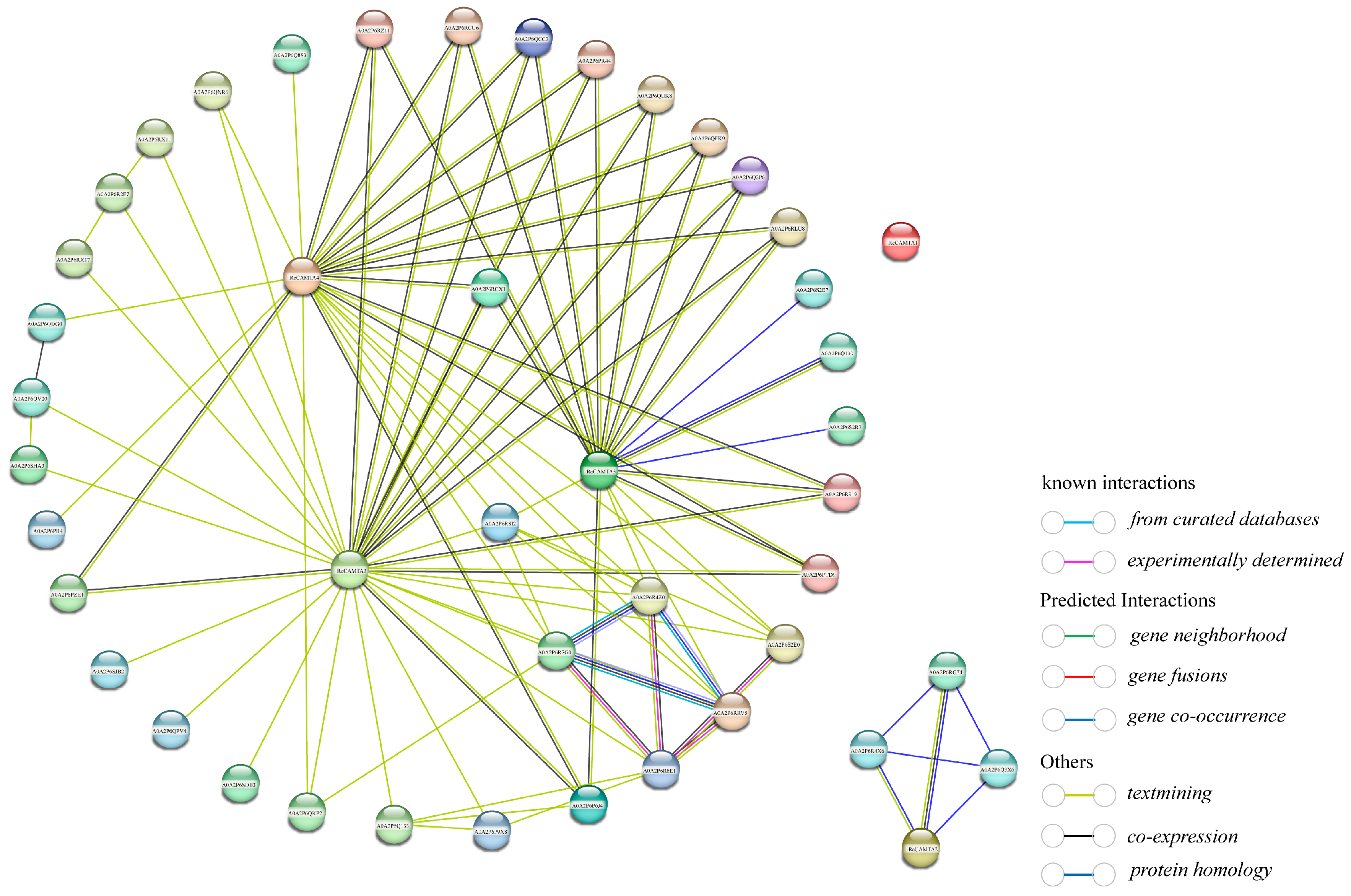 Plants 14 00070 g005