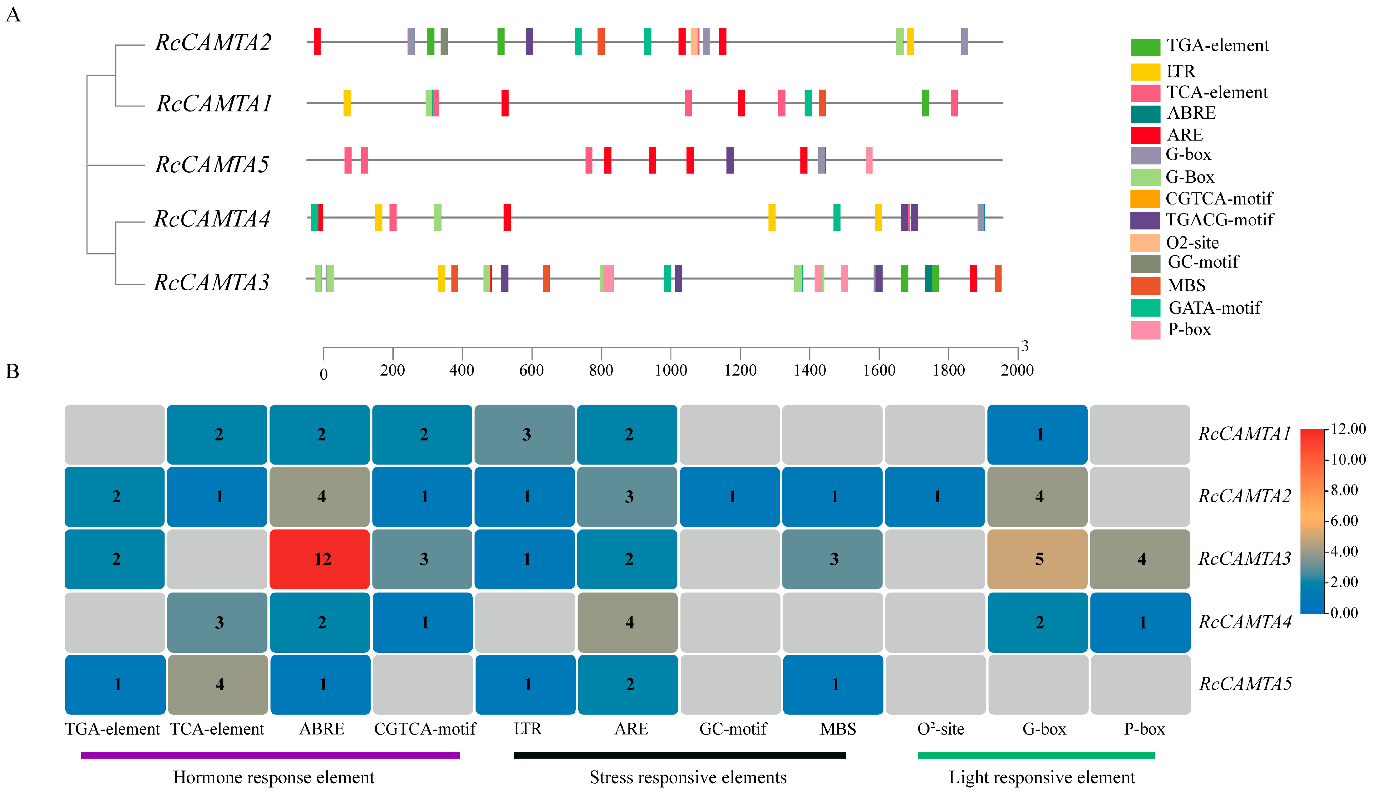 Plants 14 00070 g007
