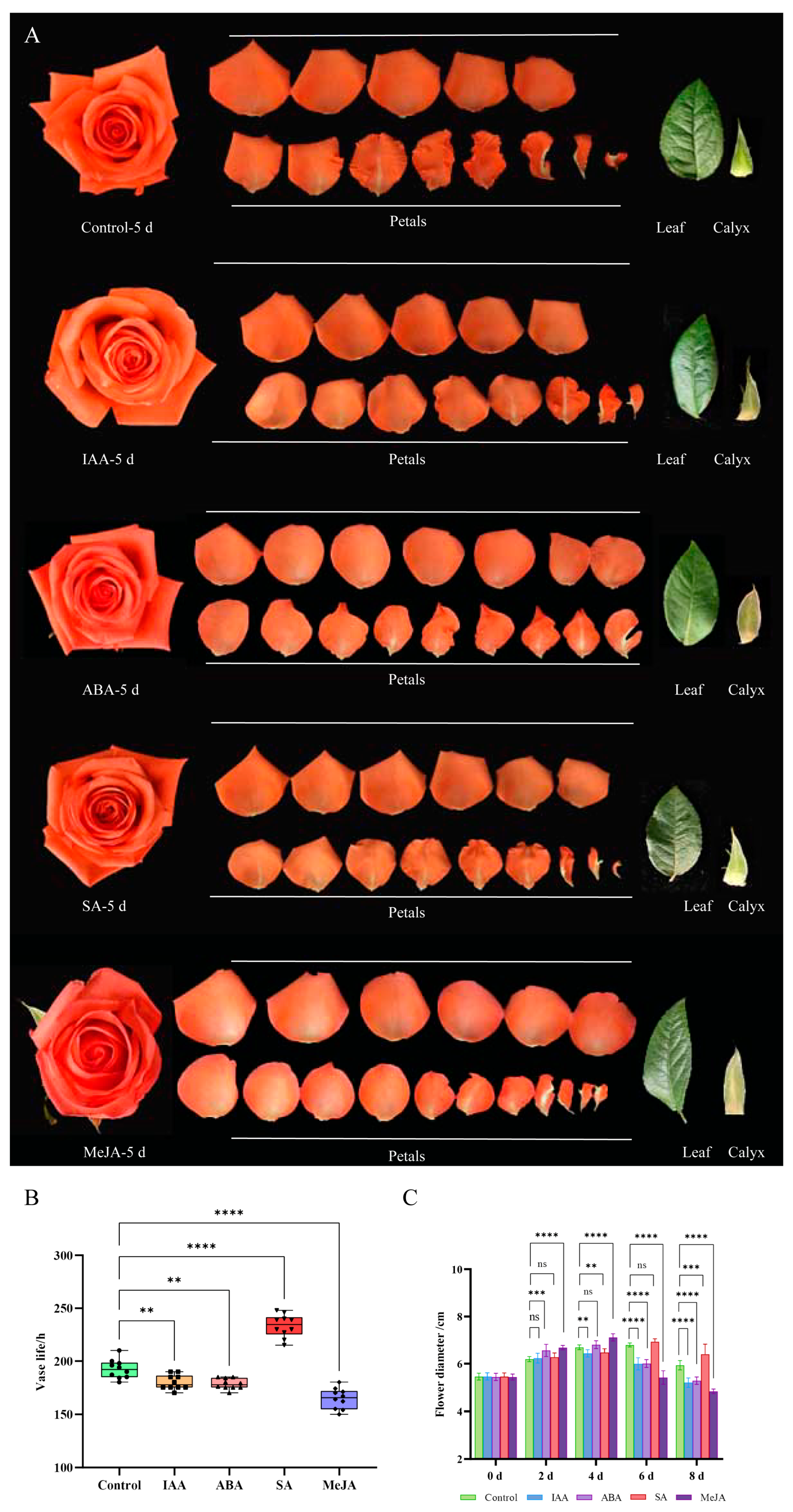 Plants 14 00070 g008