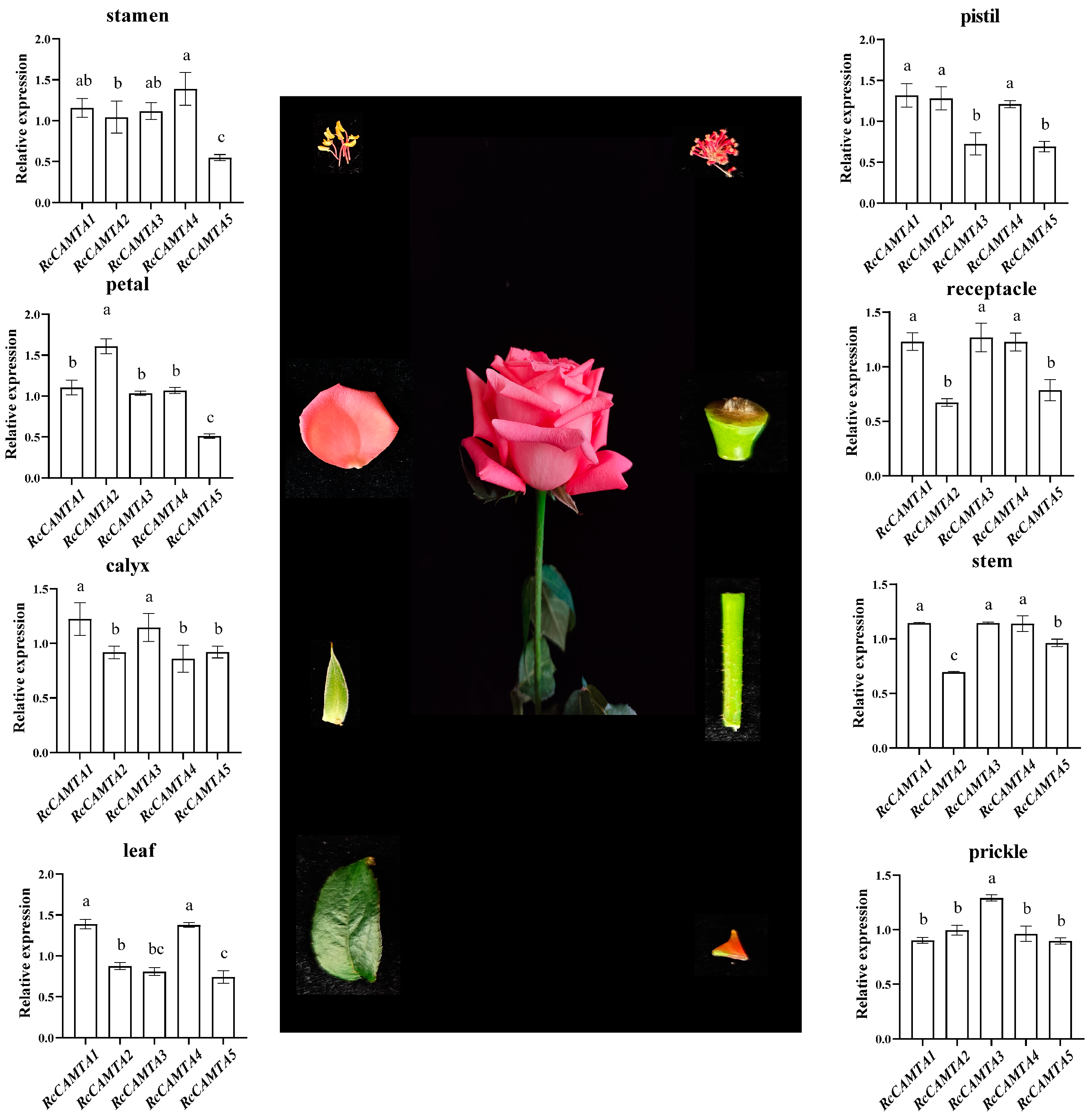 Plants 14 00070 g009