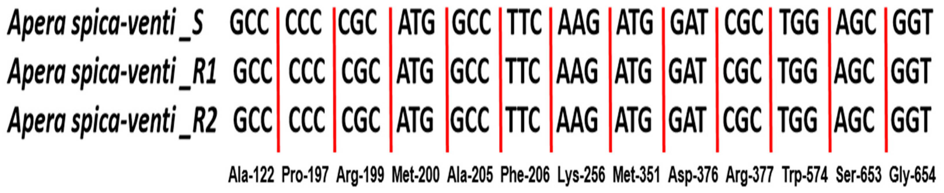 Plants 14 00074 g003