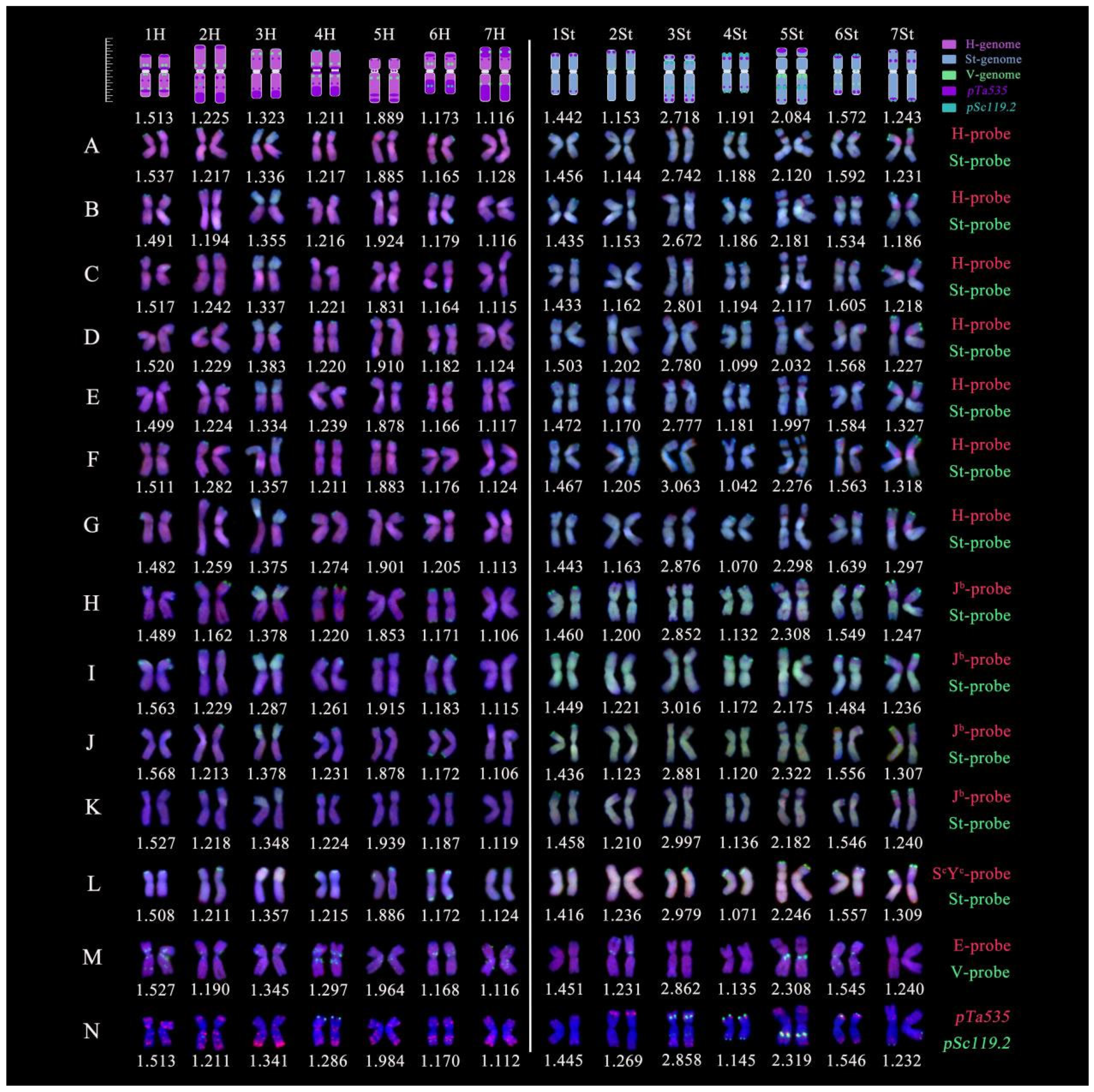 Plants 14 00075 g004