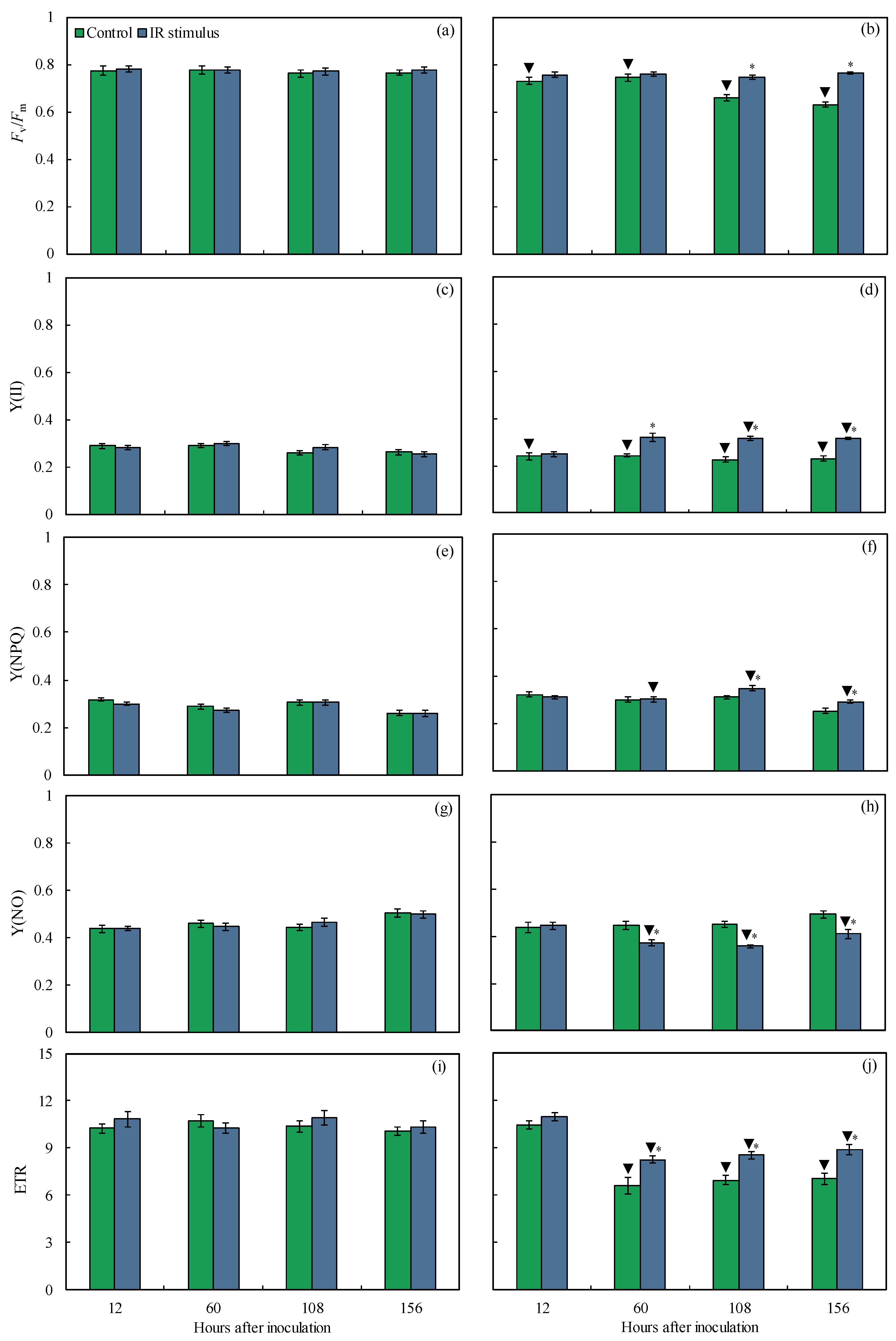 Plants 14 00077 g007