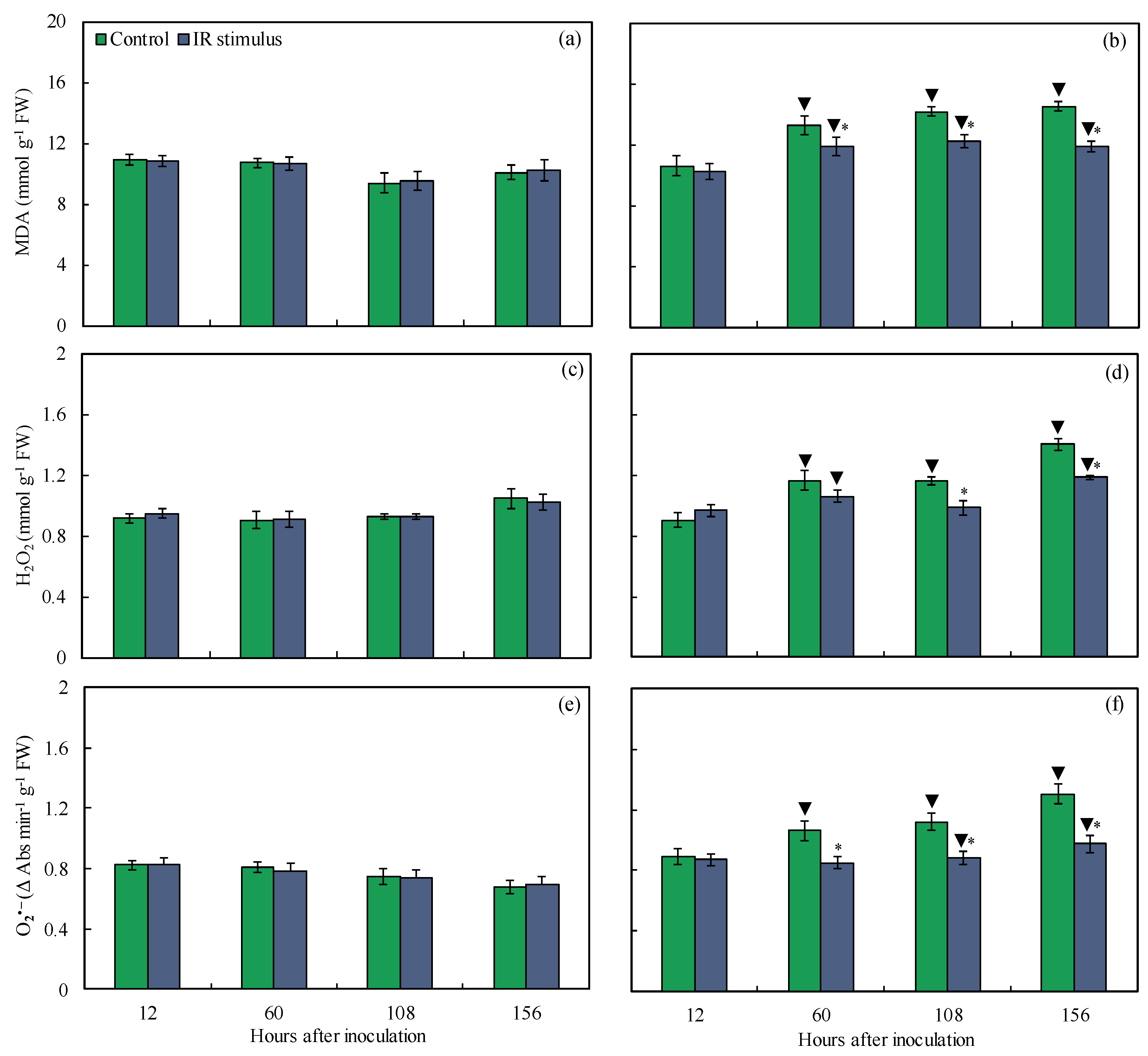 Plants 14 00077 g011