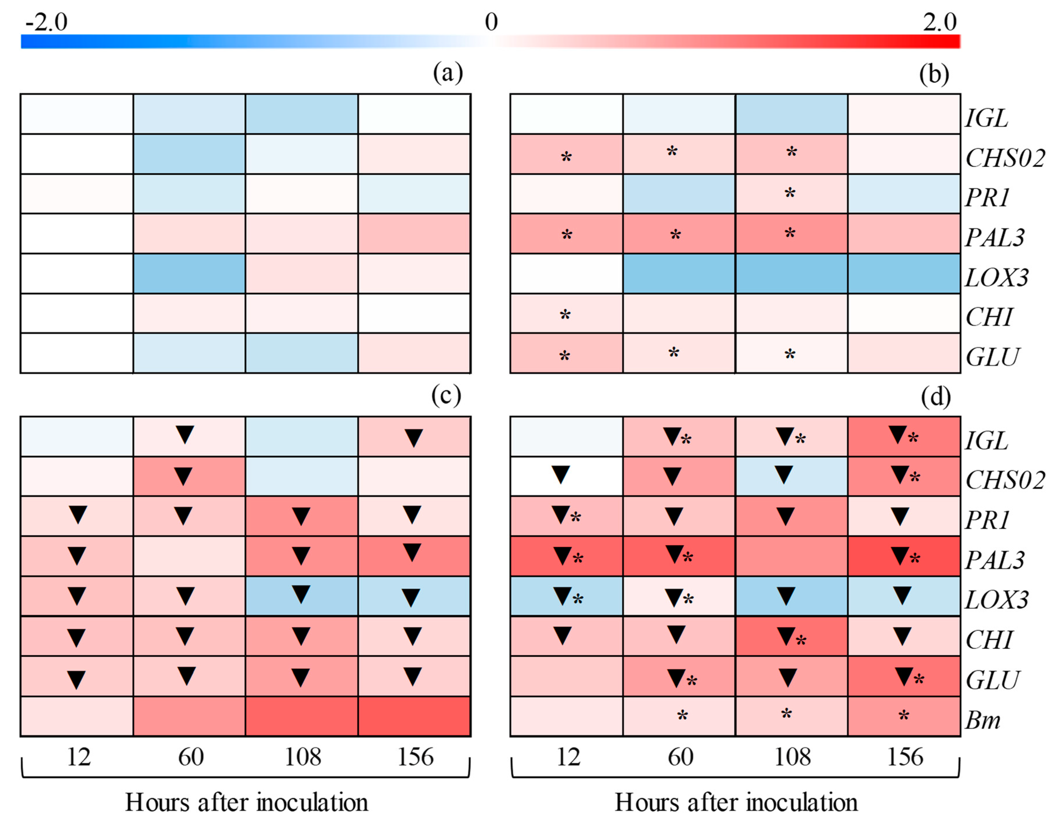 Plants 14 00077 g013