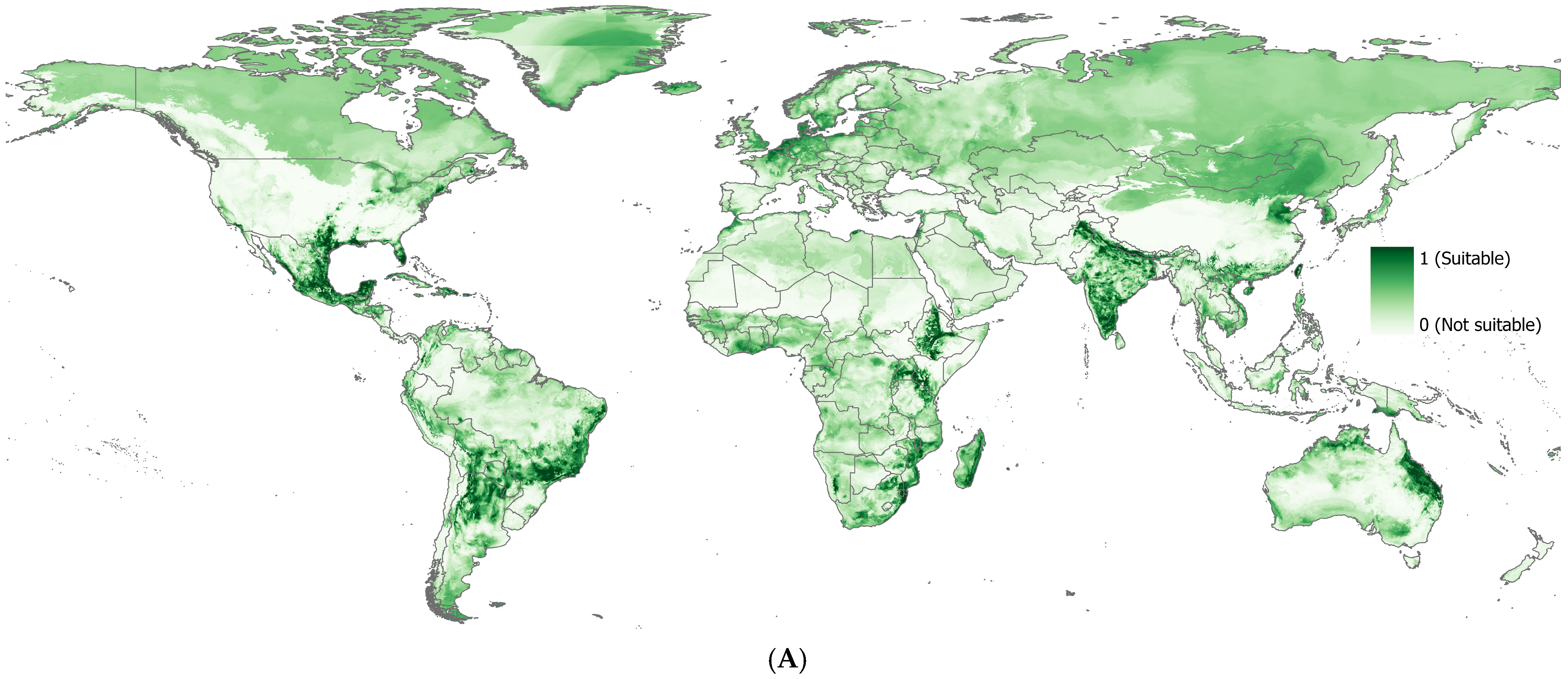 Plants 14 00083 g003a