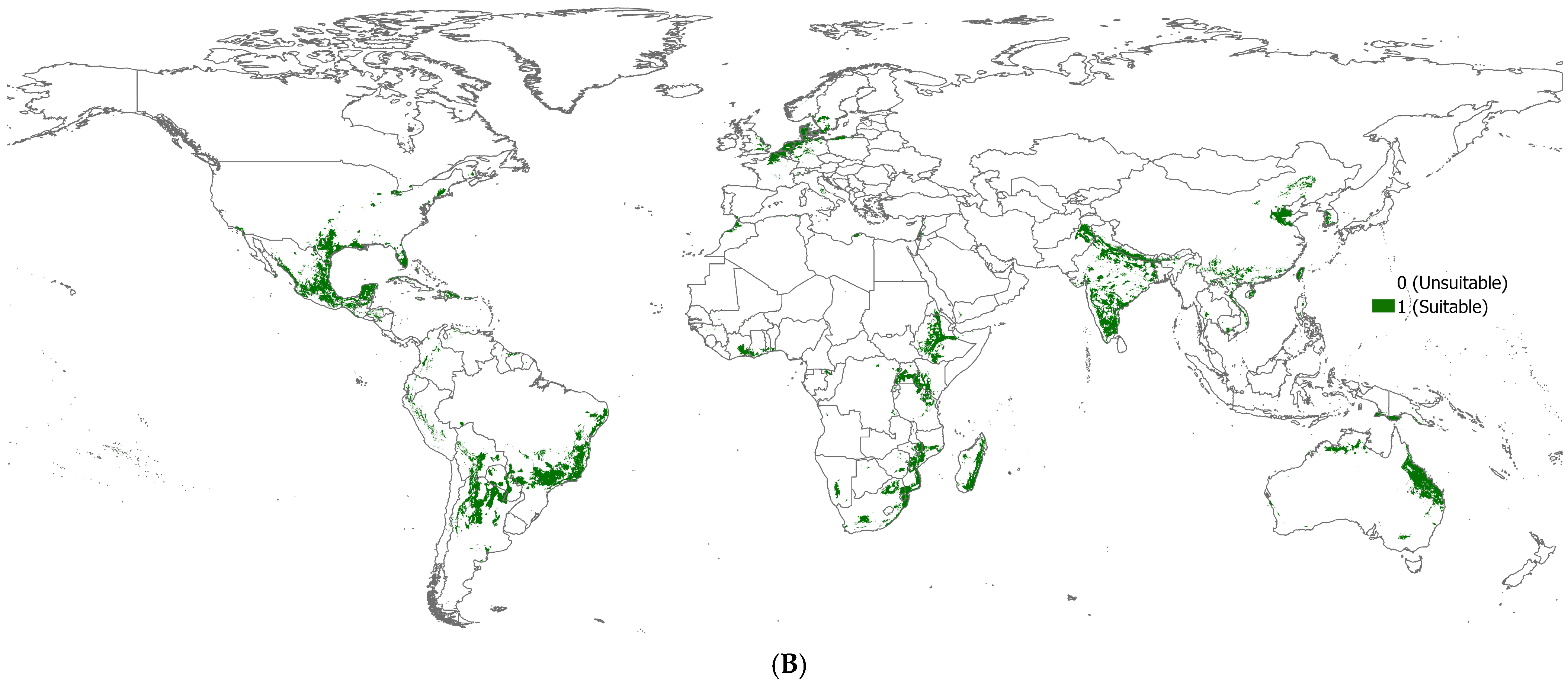Plants 14 00083 g003b