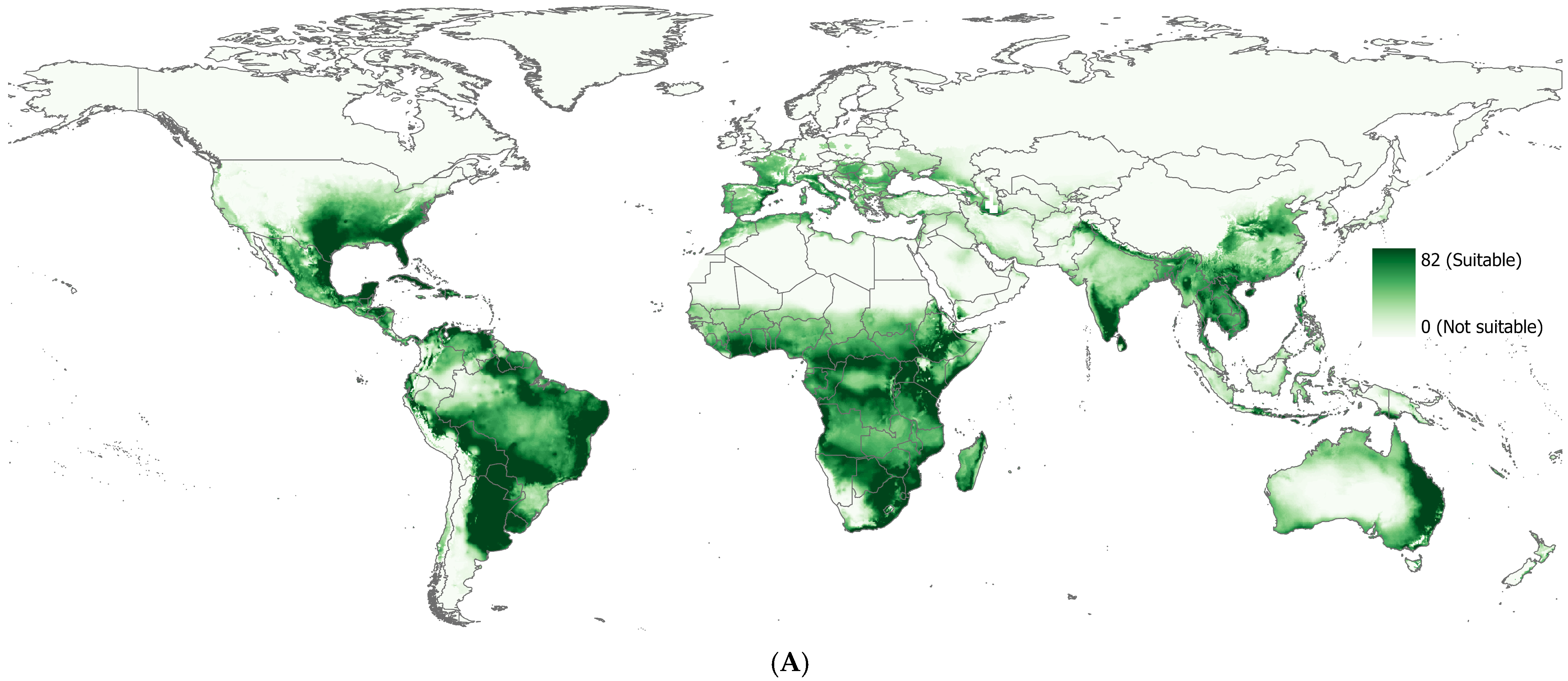 Plants 14 00083 g004a