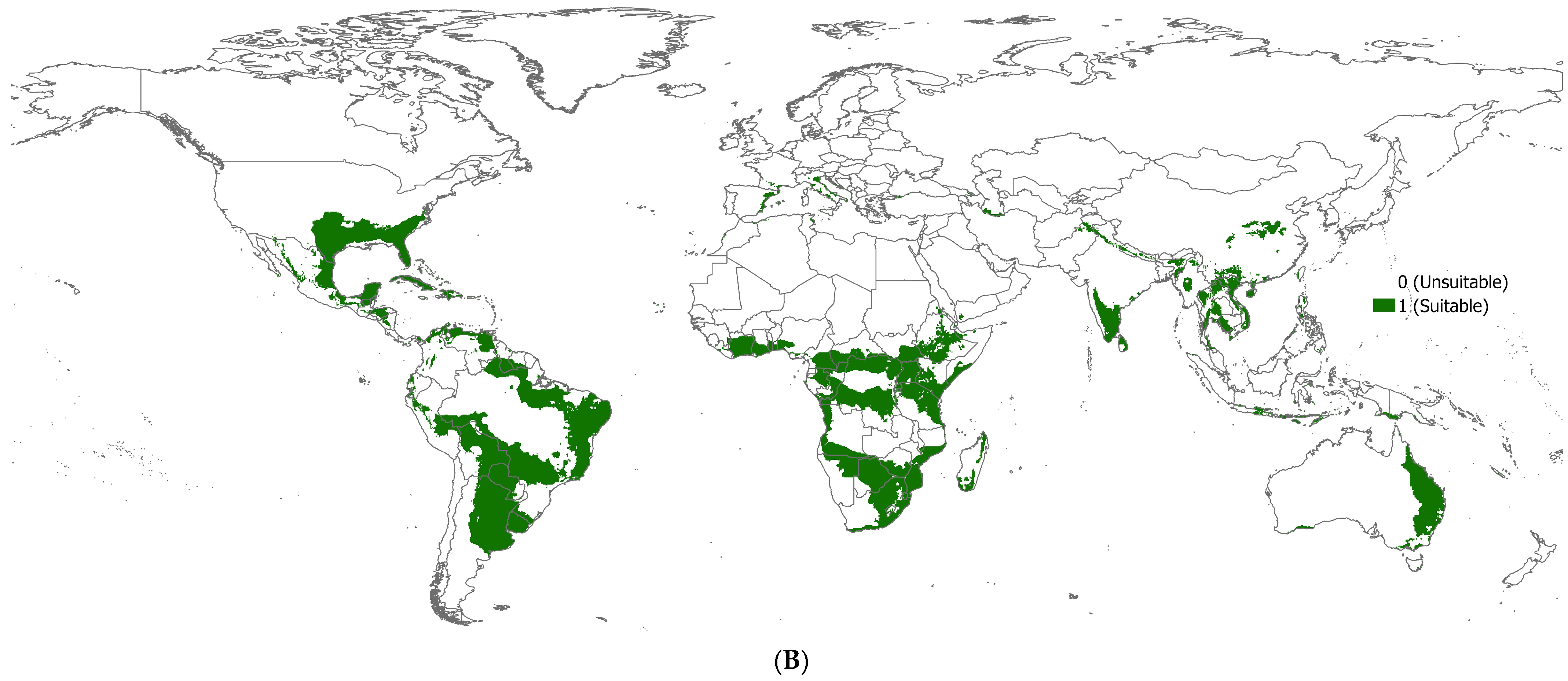 Plants 14 00083 g004b