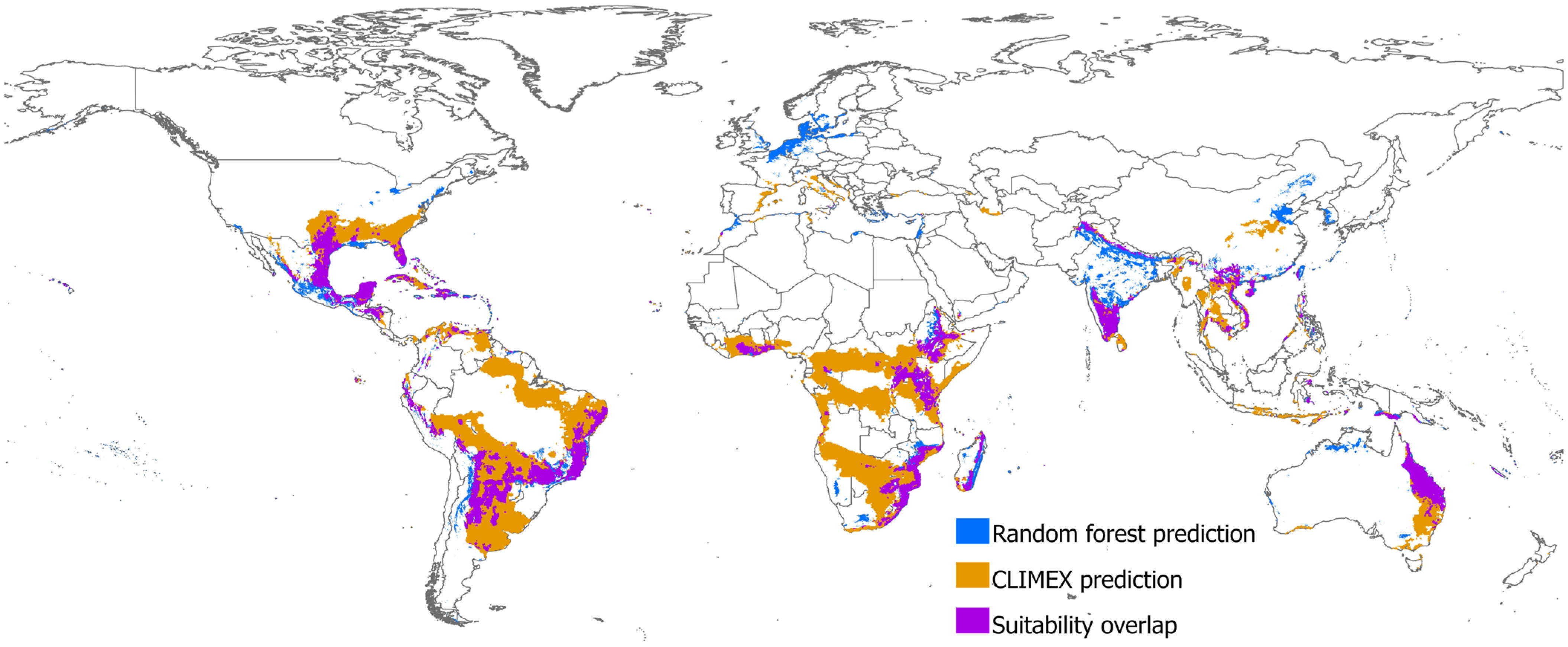 Plants 14 00083 g005