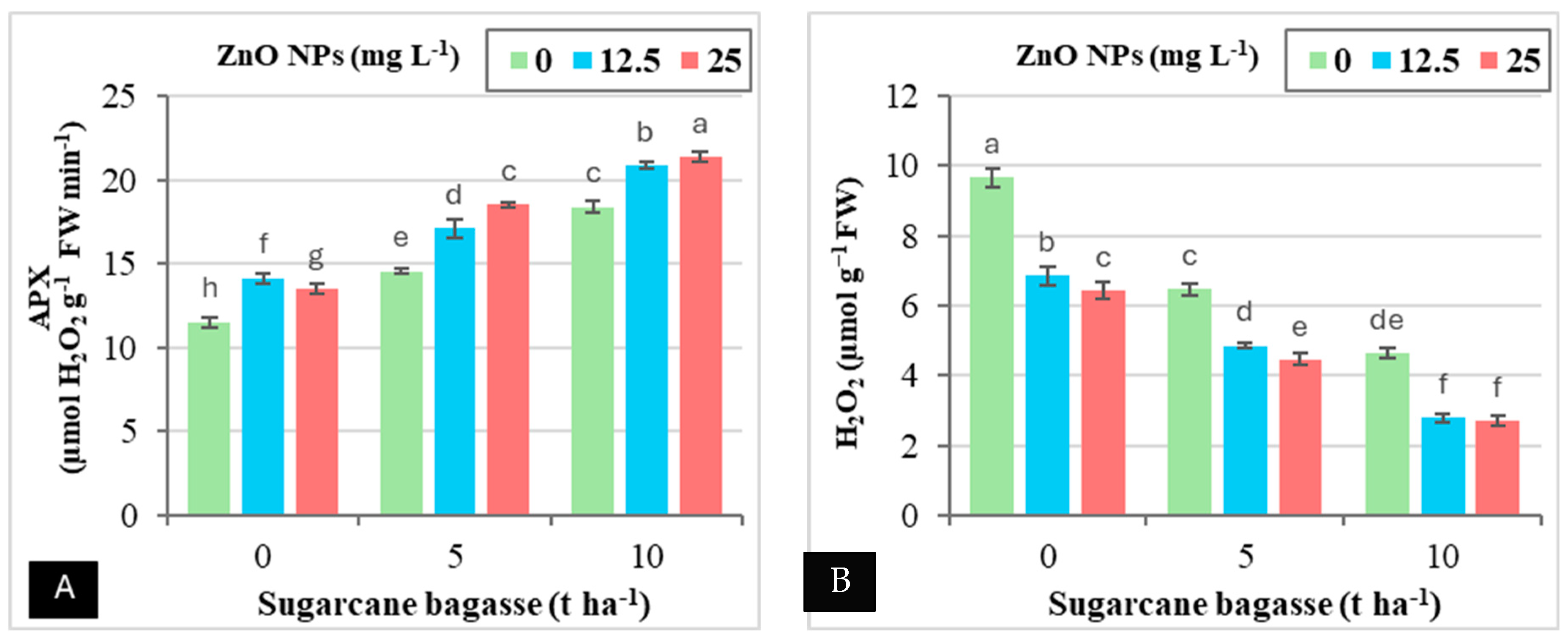 Plants 14 00085 g006