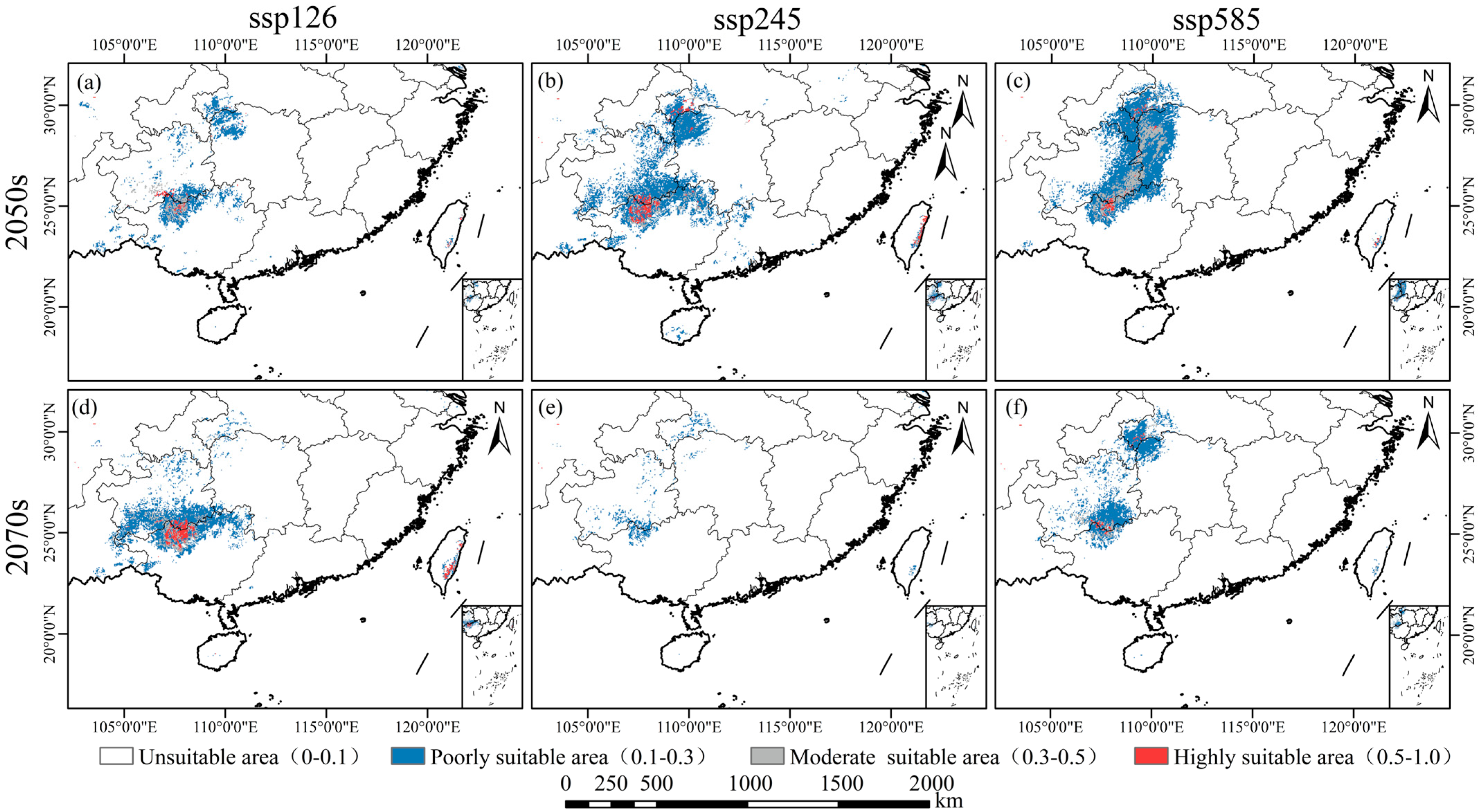 Plants 14 00086 g008