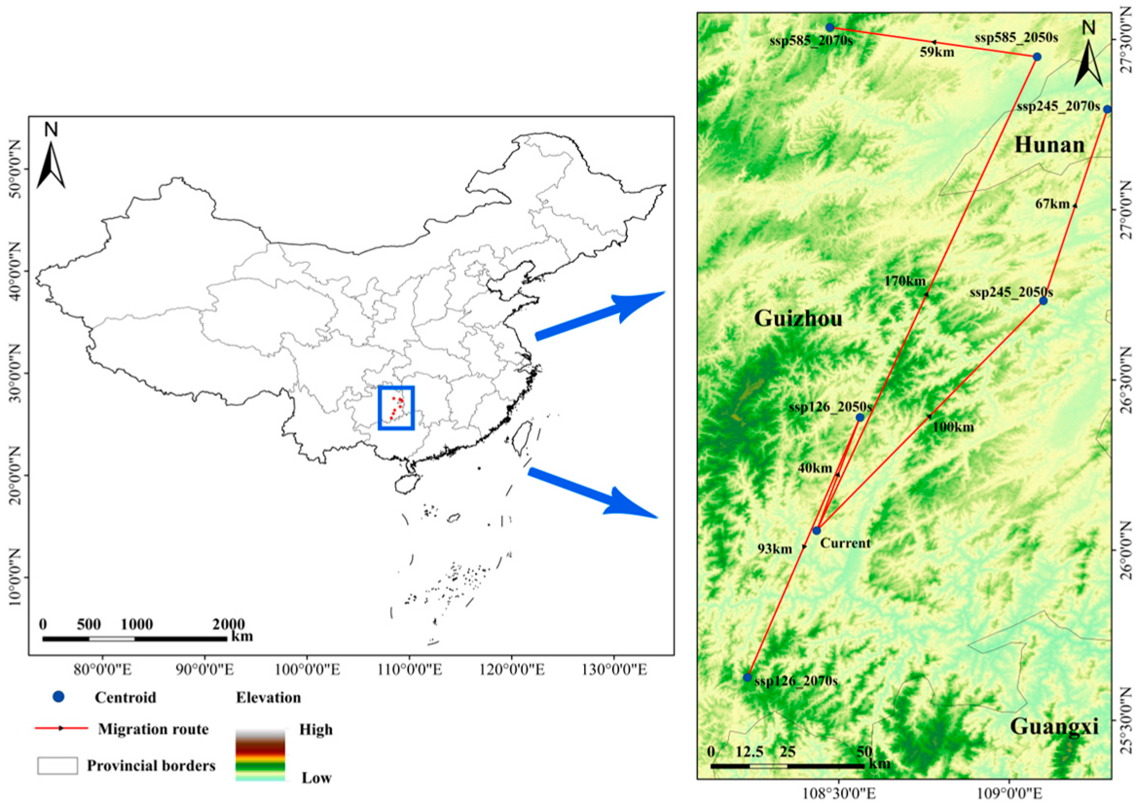 Plants 14 00086 g010
