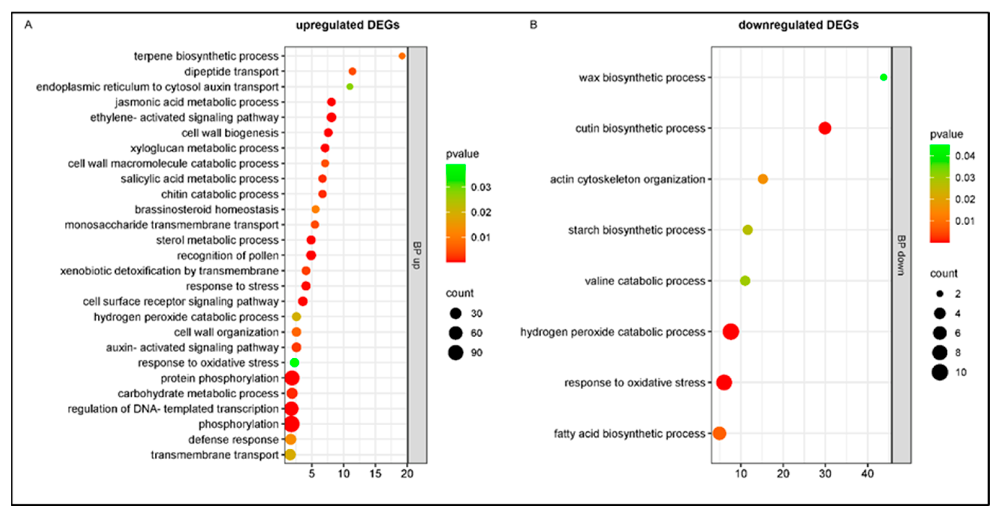 Plants 14 00087 g008 Plants 14 00087 g008
