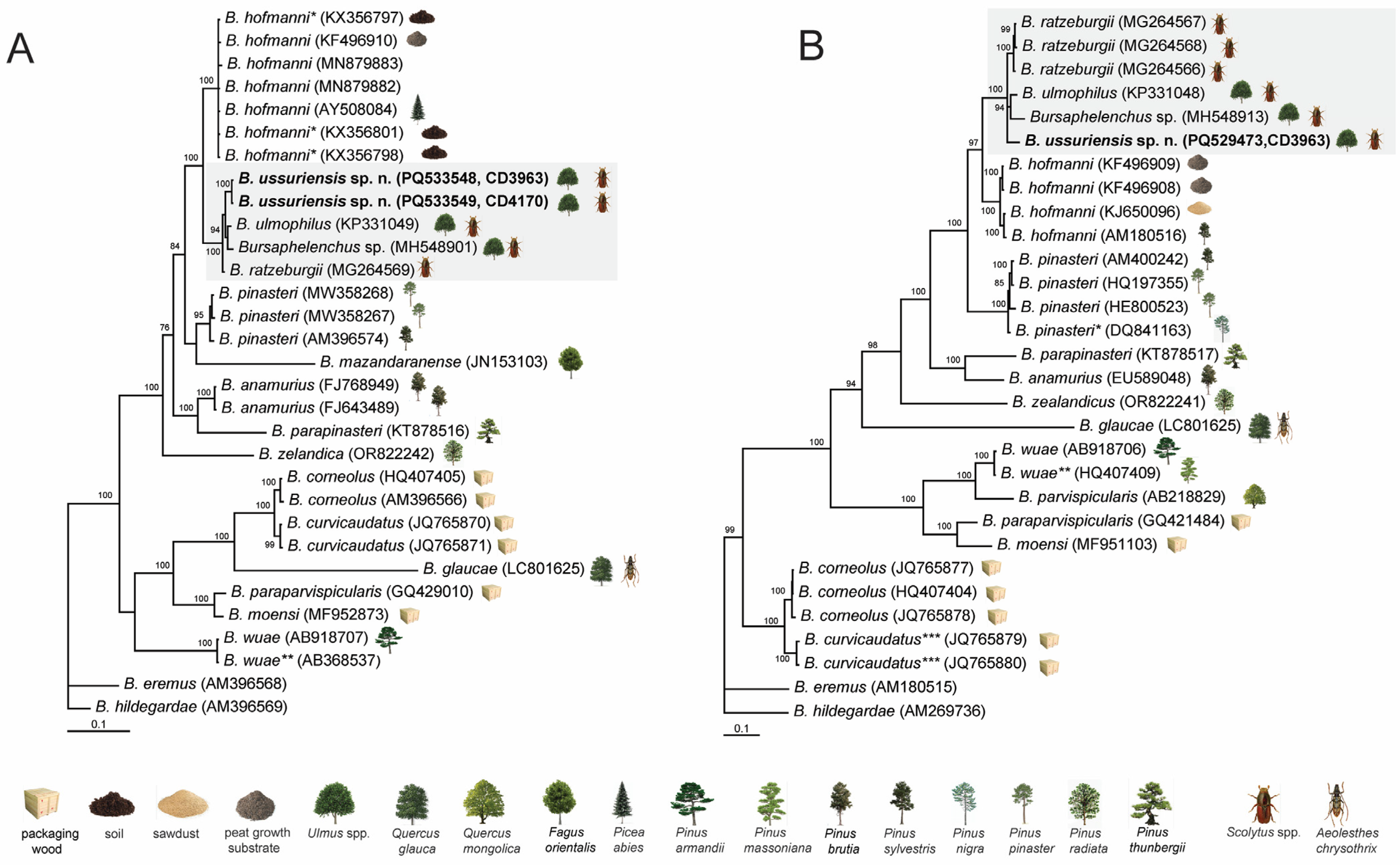 Plants 14 00093 g006