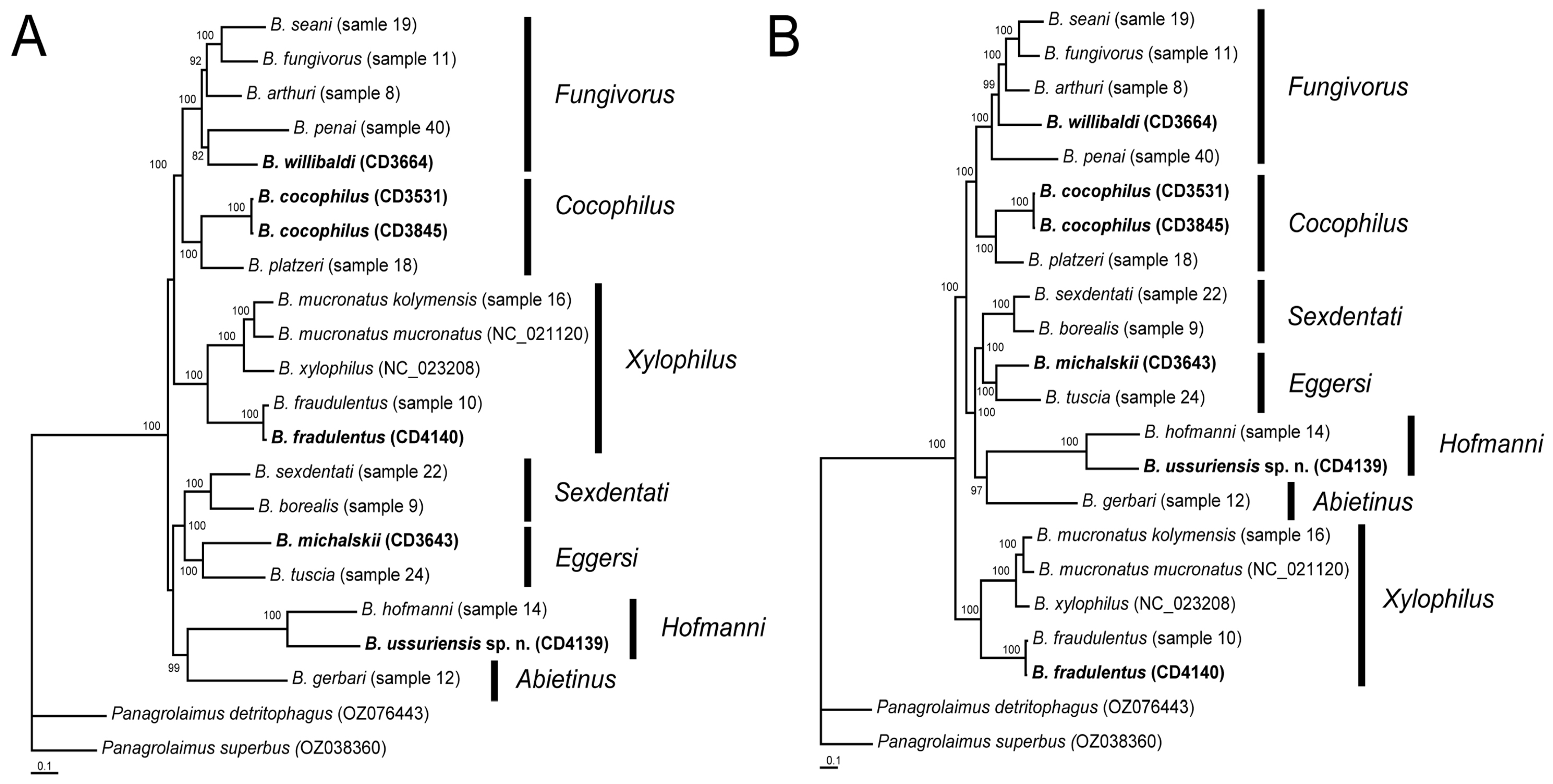 Plants 14 00093 g007