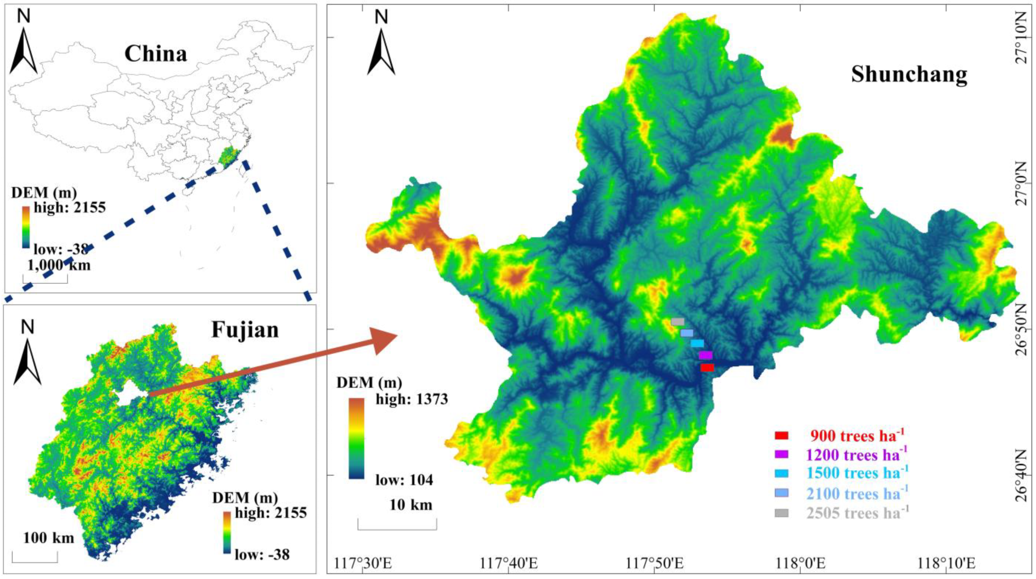 Plants 14 00098 g006