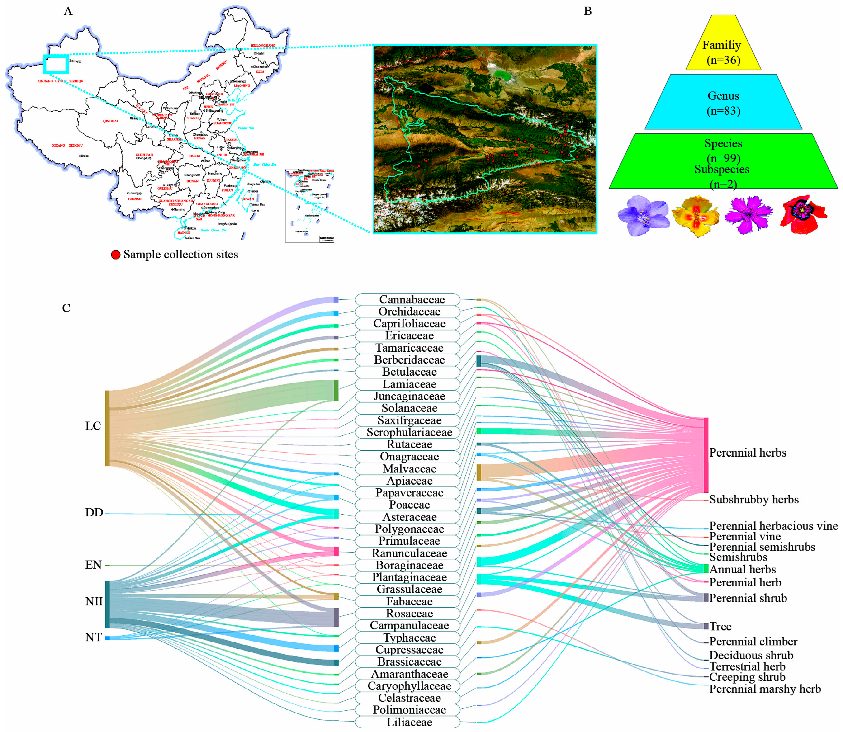Plants 14 00099 g001