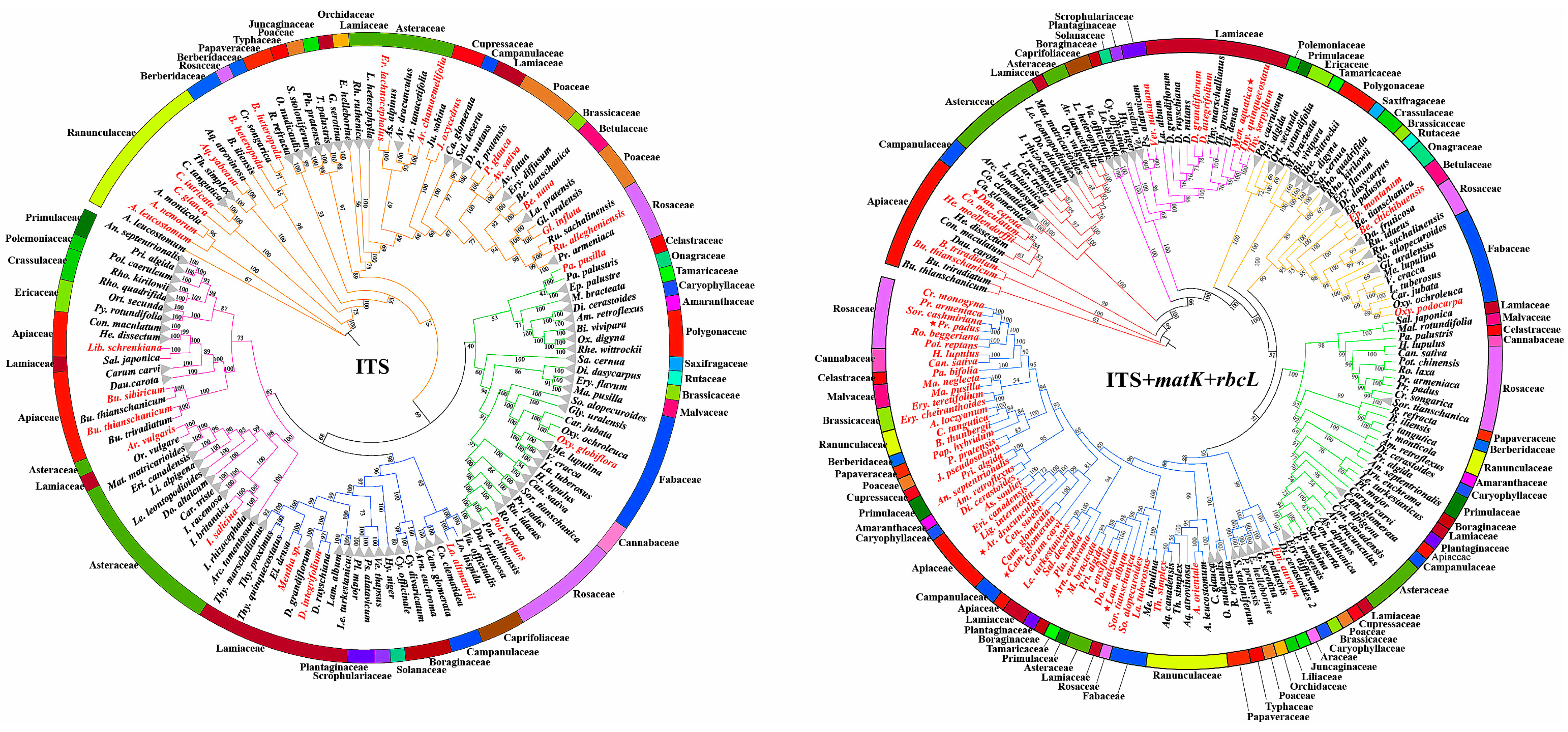 Plants 14 00099 g005