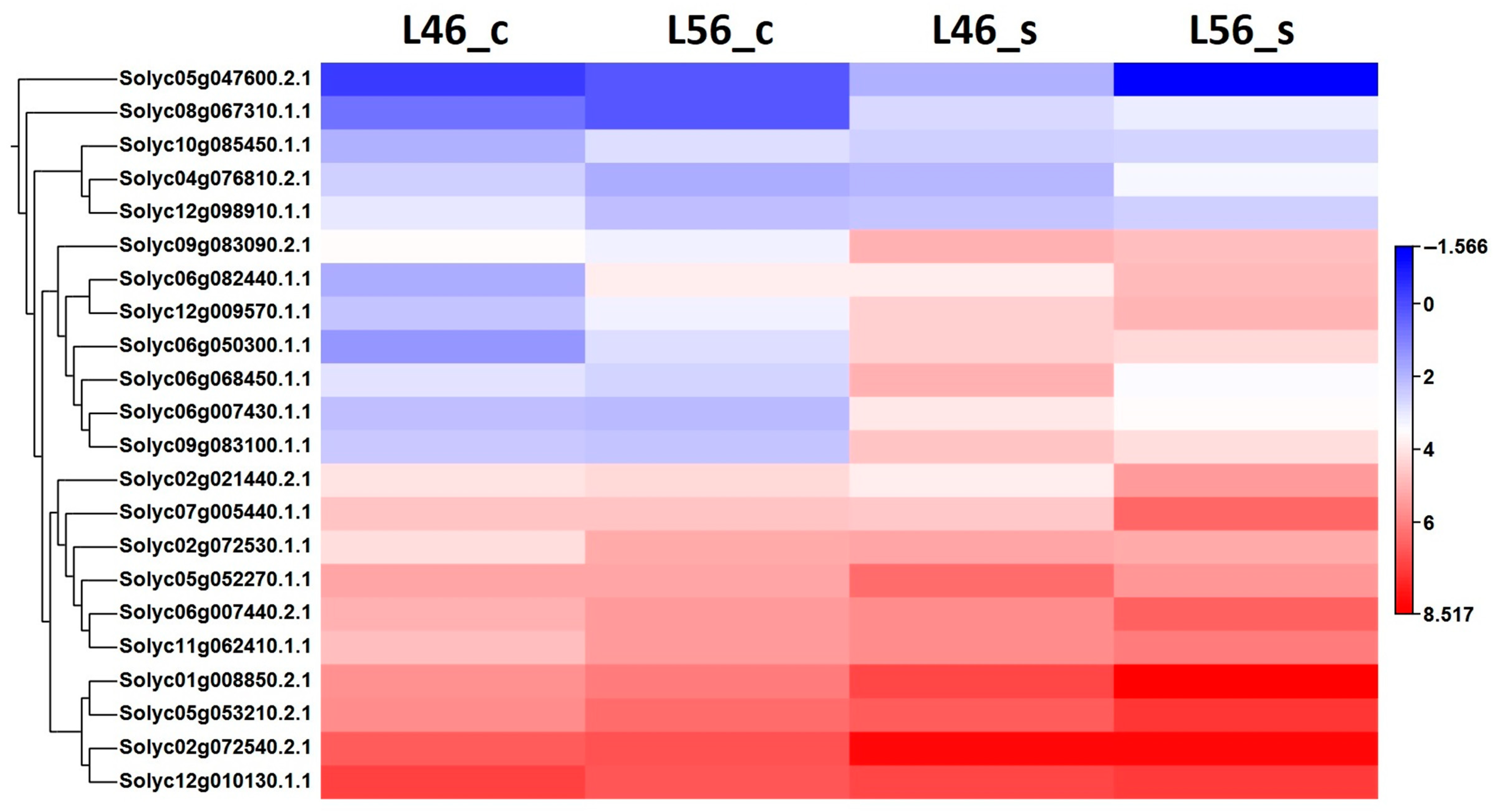Plants 14 00100 g005