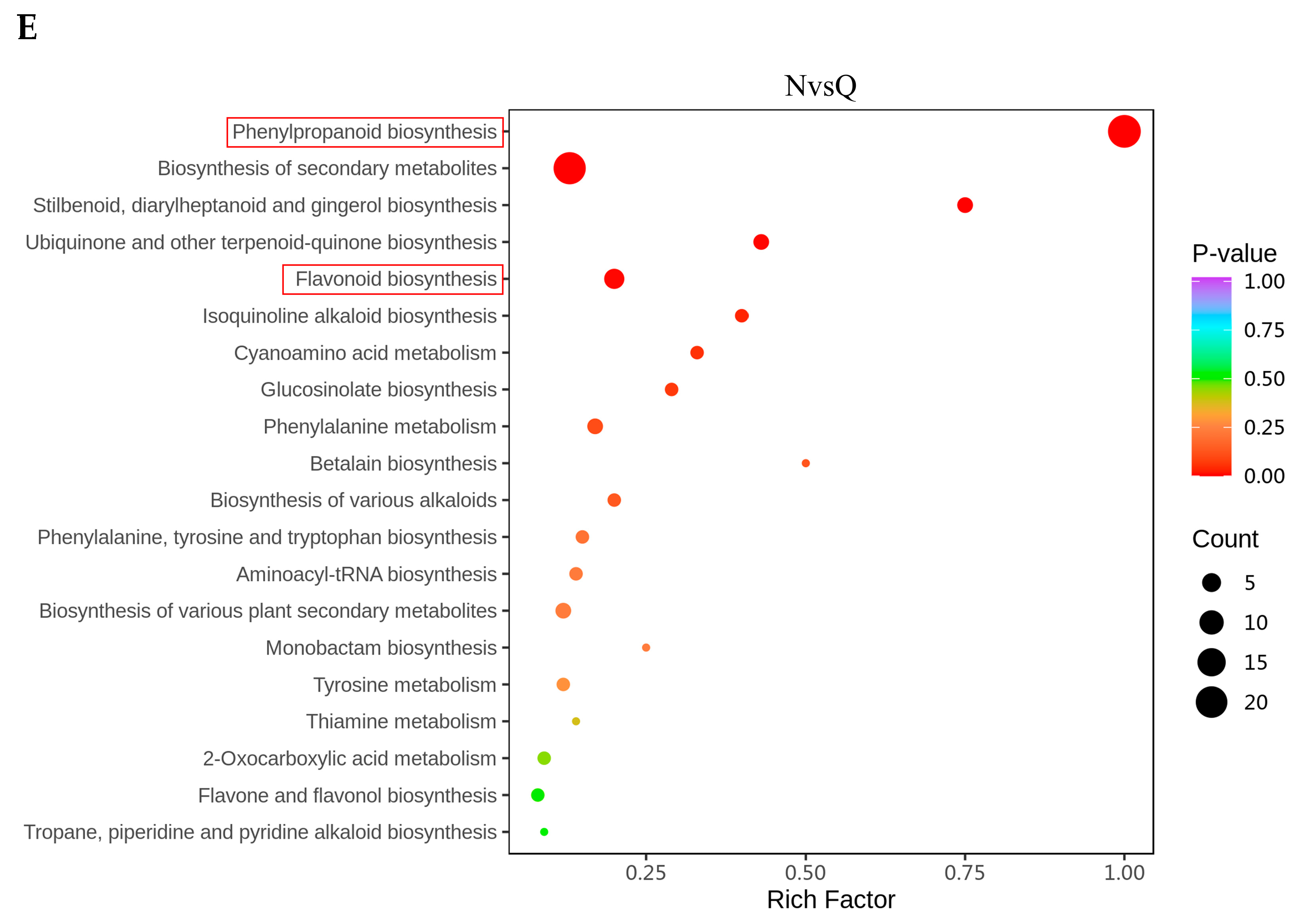 Plants 14 00101 g003b