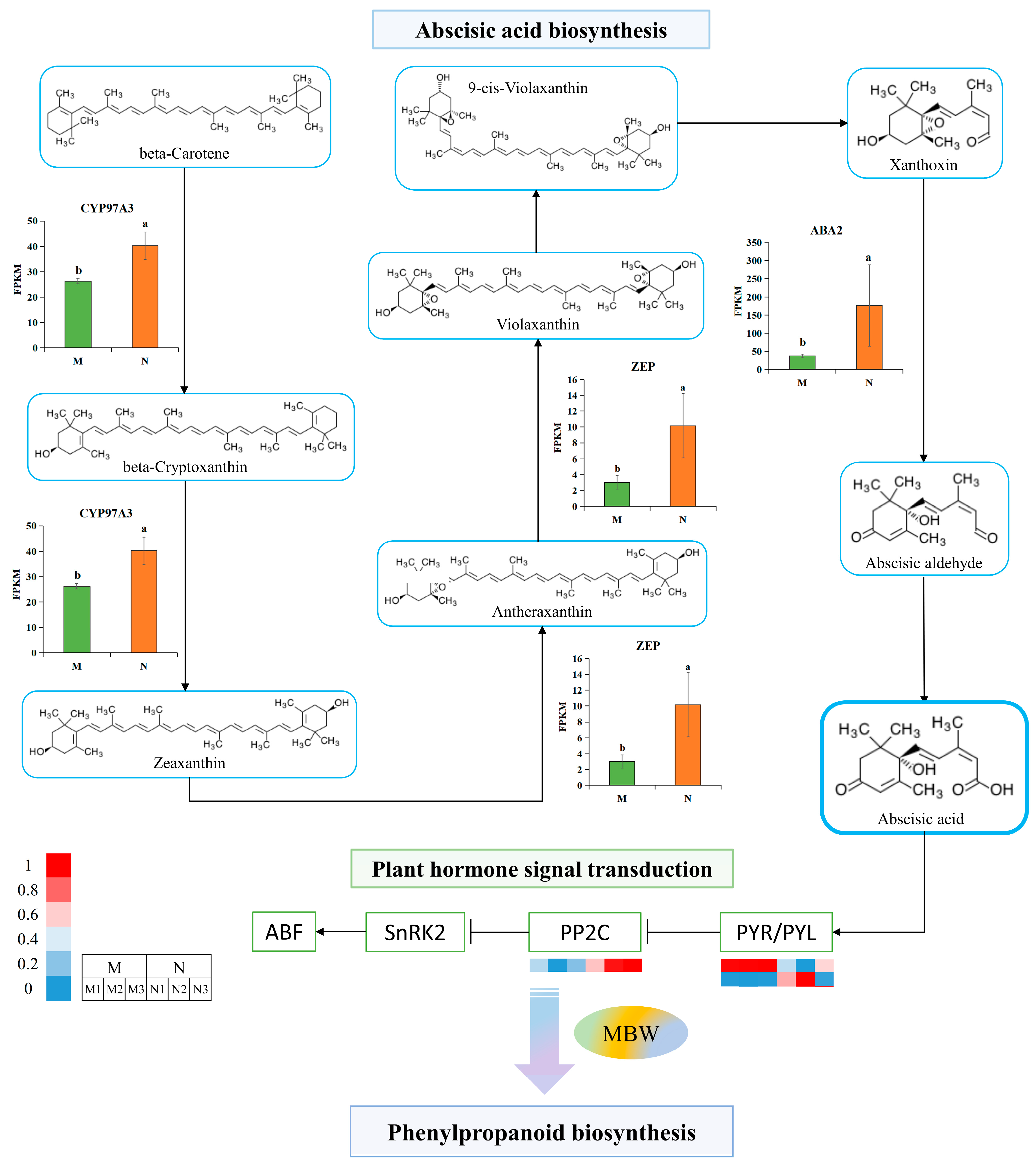 Plants 14 00101 g006