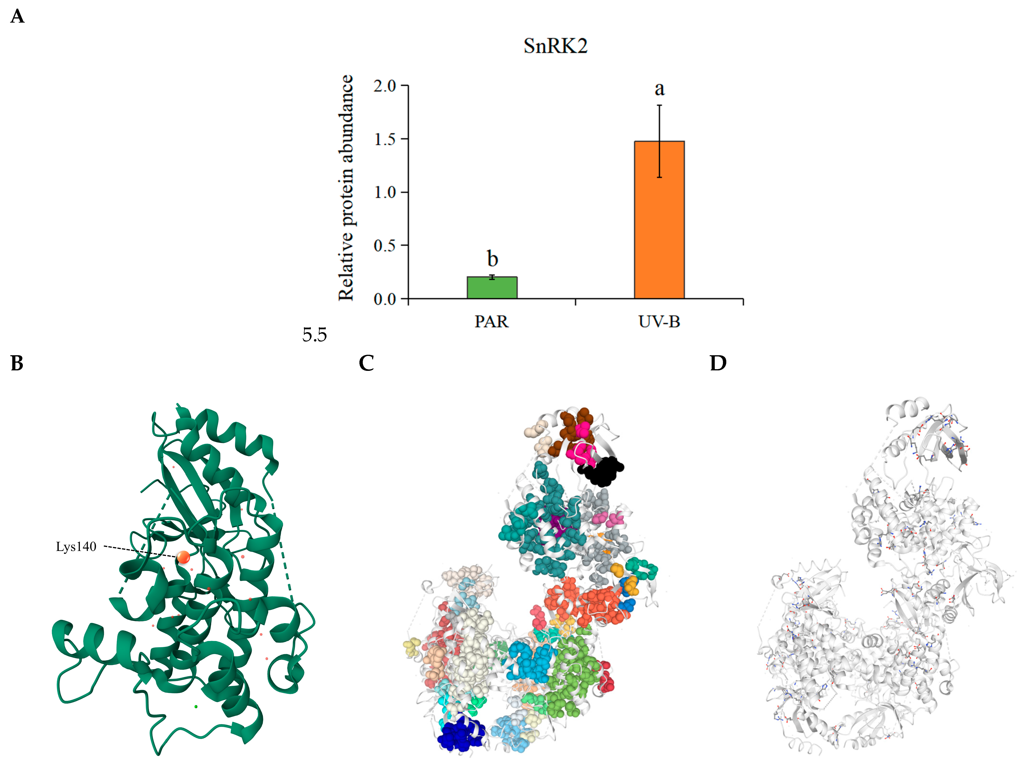 Plants 14 00101 g007