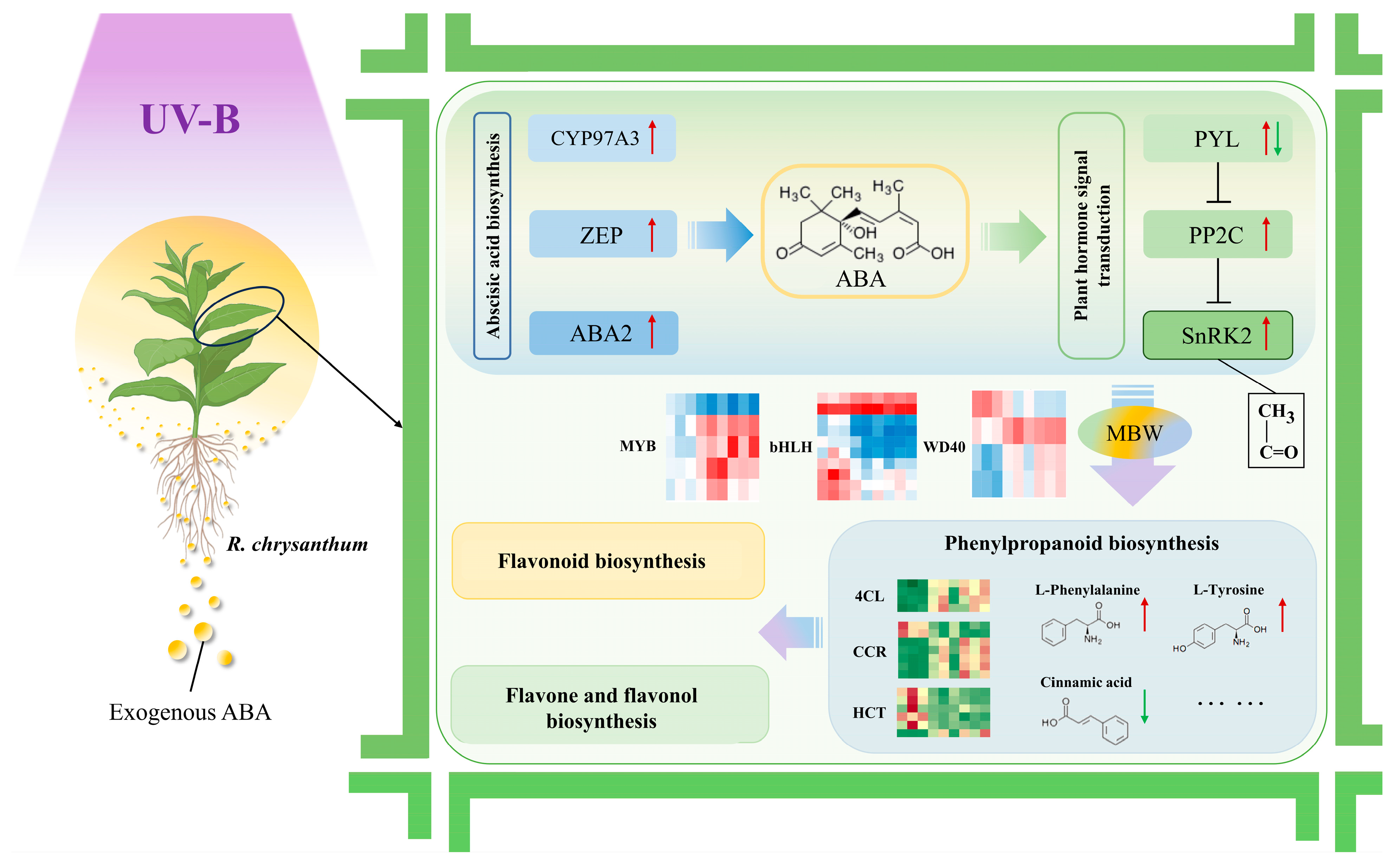 Plants 14 00101 g008