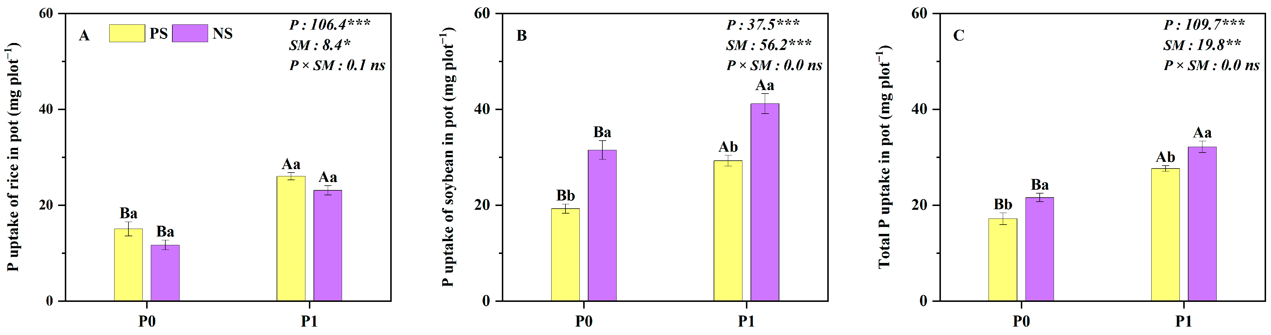 Plants 14 00106 g004