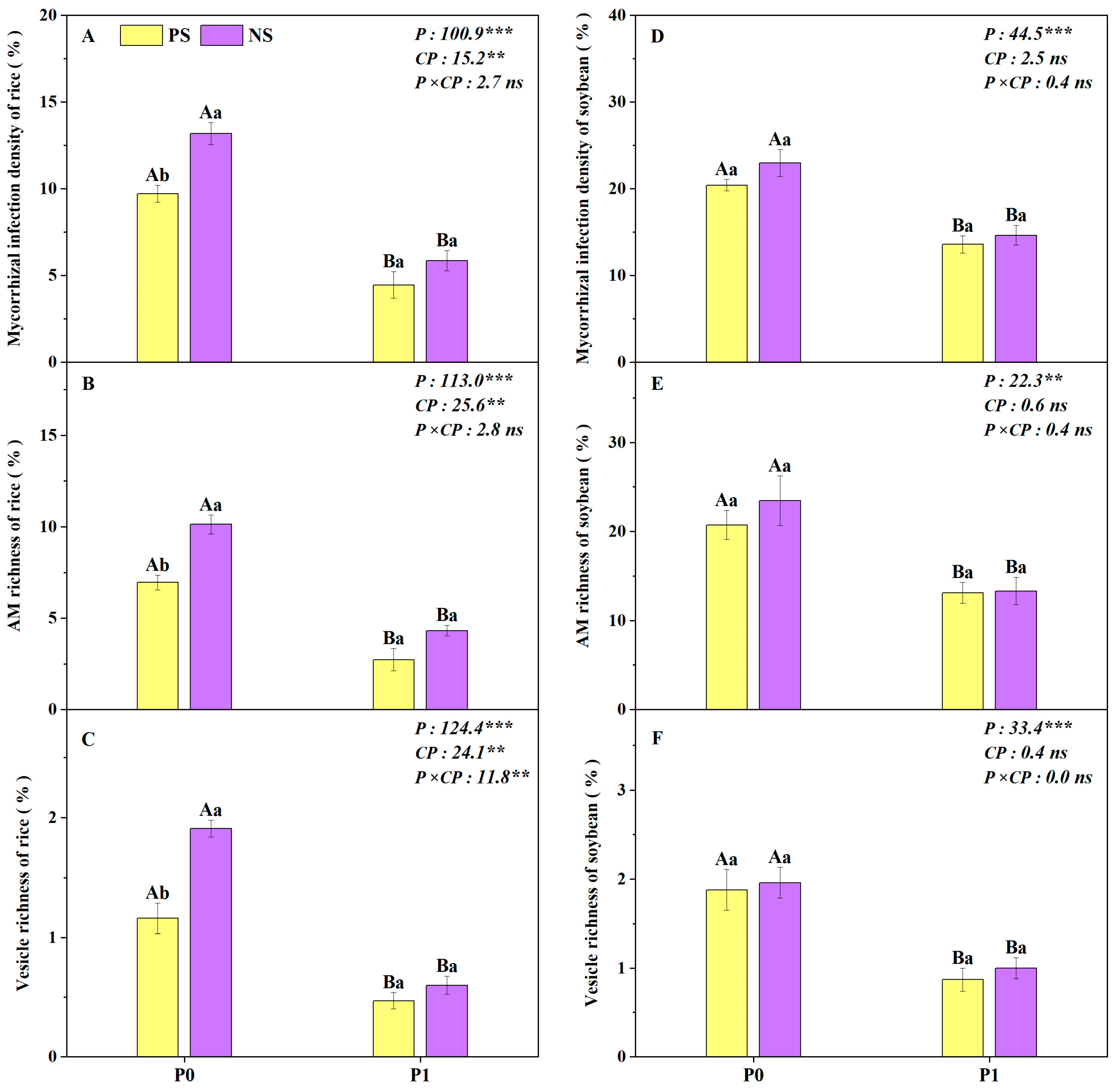 Plants 14 00106 g006