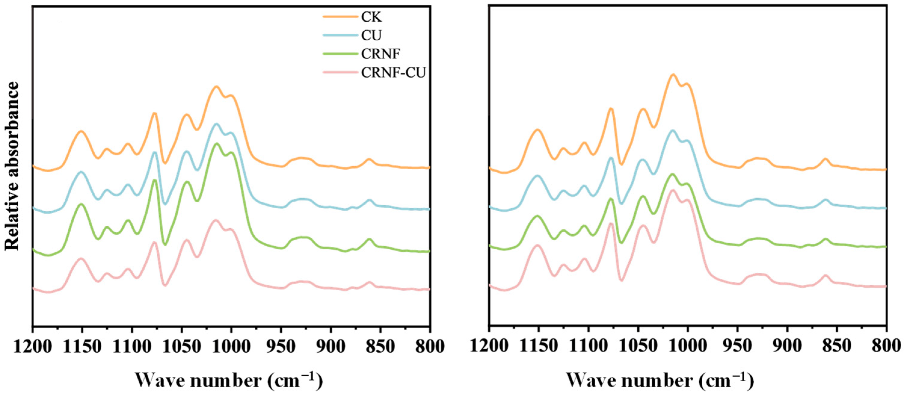 Plants 14 00107 g005