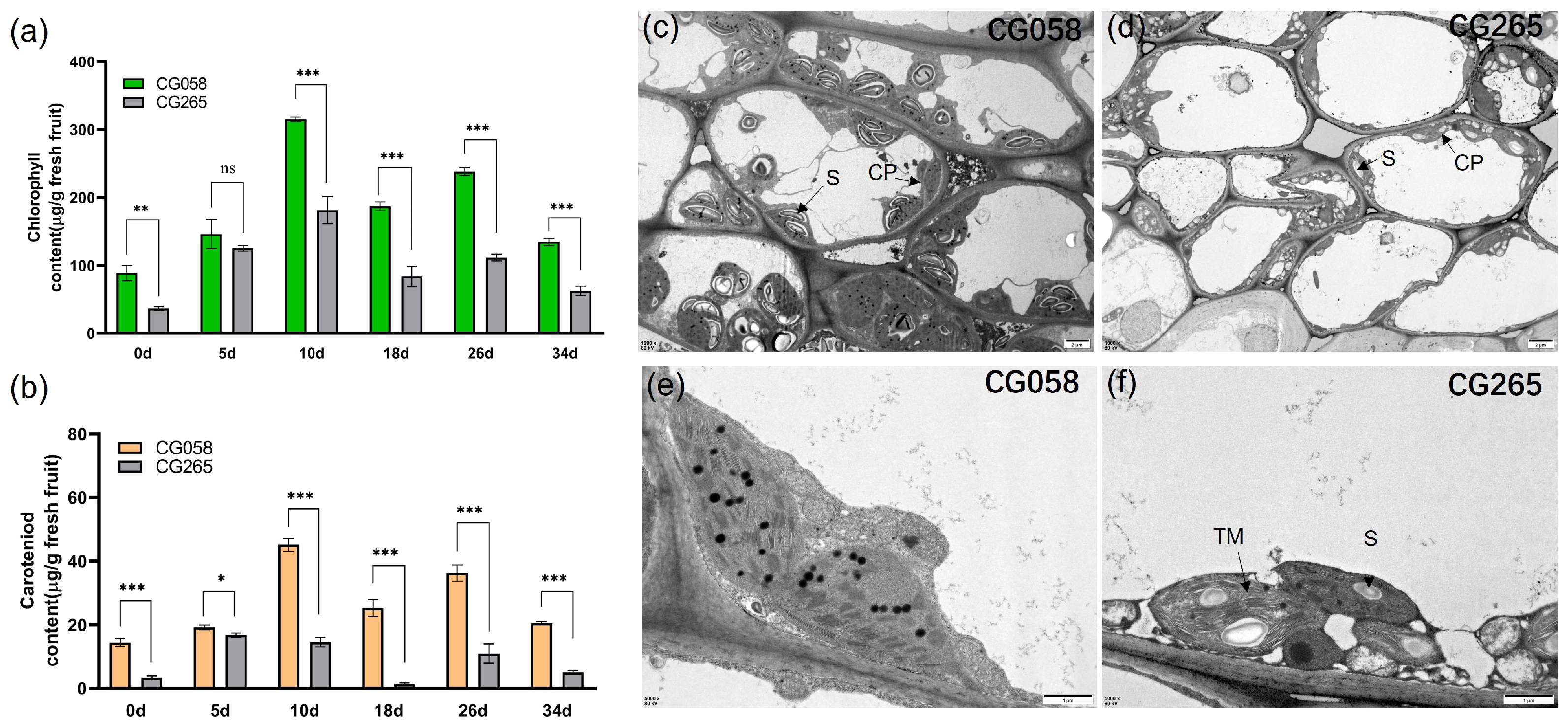 Plants 14 00113 g002