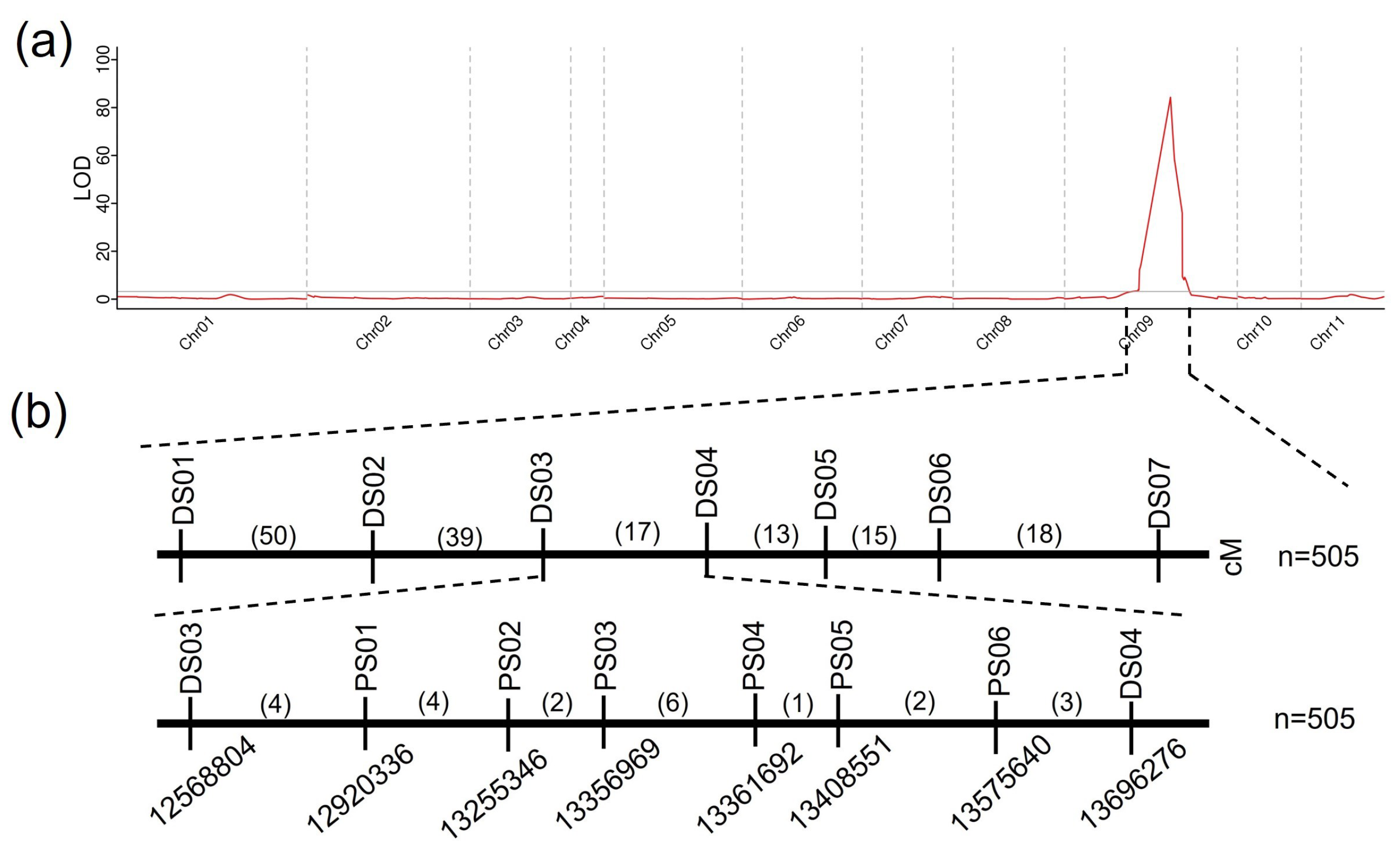 Plants 14 00113 g003a